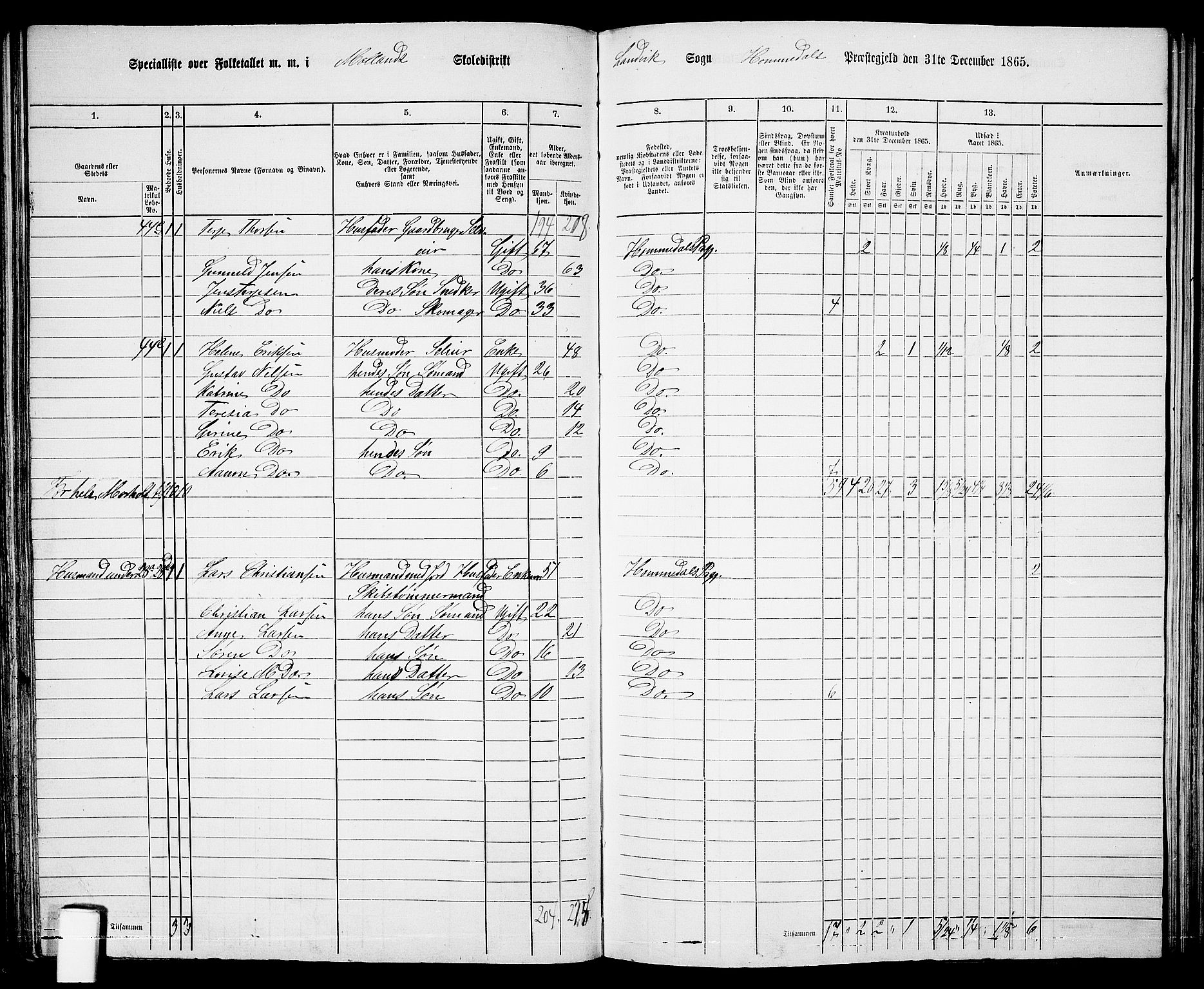 RA, 1865 census for Homedal, 1865, p. 72