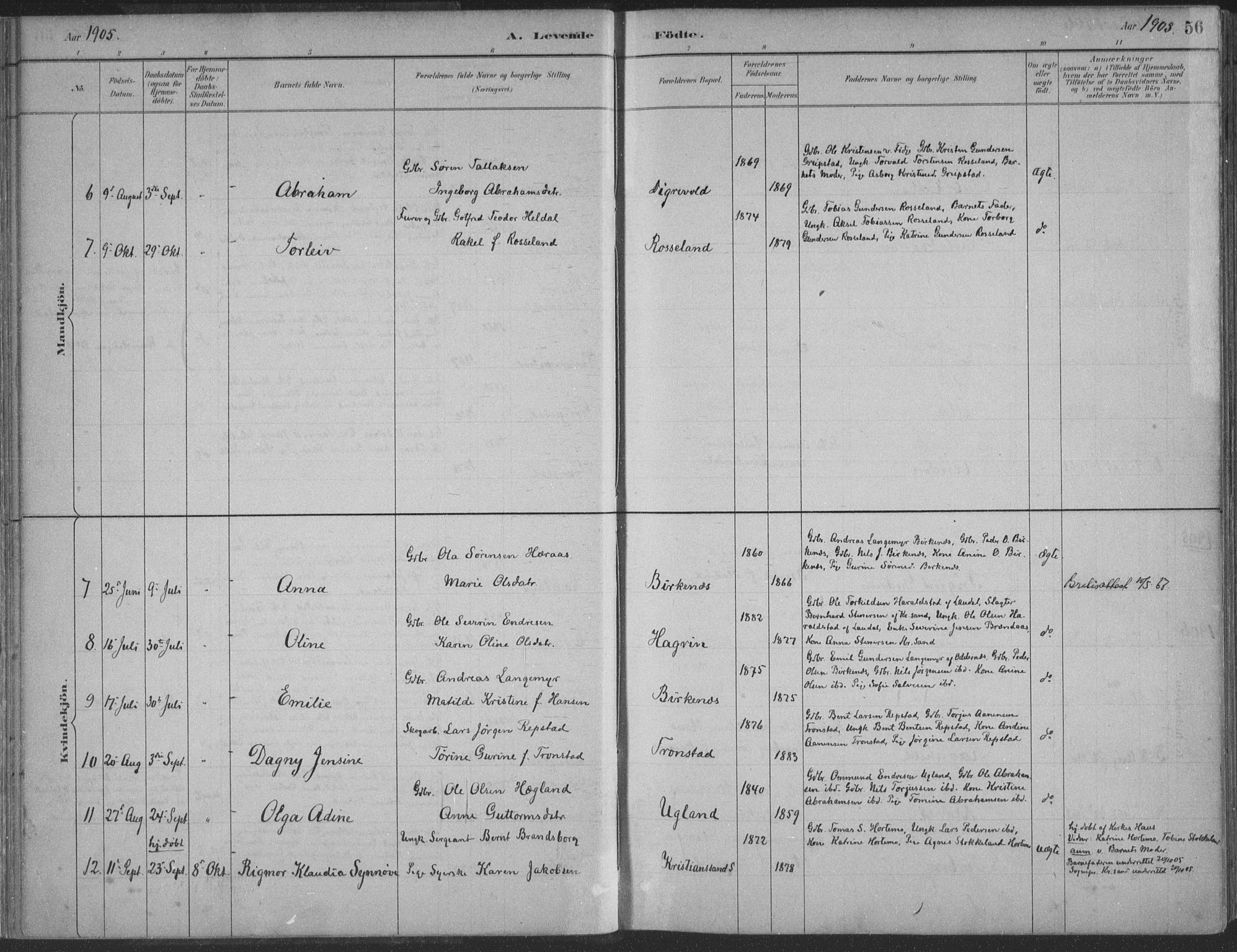 Søgne sokneprestkontor, AV/SAK-1111-0037/F/Fa/Faa/L0003: Parish register (official) no. A 3, 1883-1910, p. 56