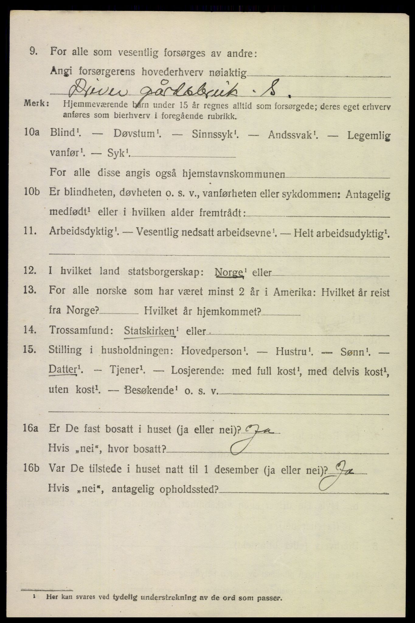 SAH, 1920 census for Heidal, 1920, p. 2545
