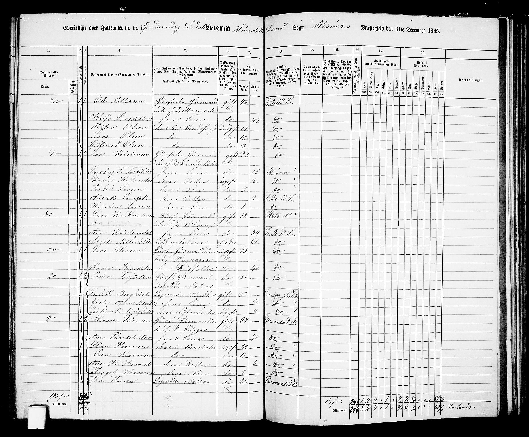 RA, 1865 census for Risør/Søndeled, 1865, p. 109