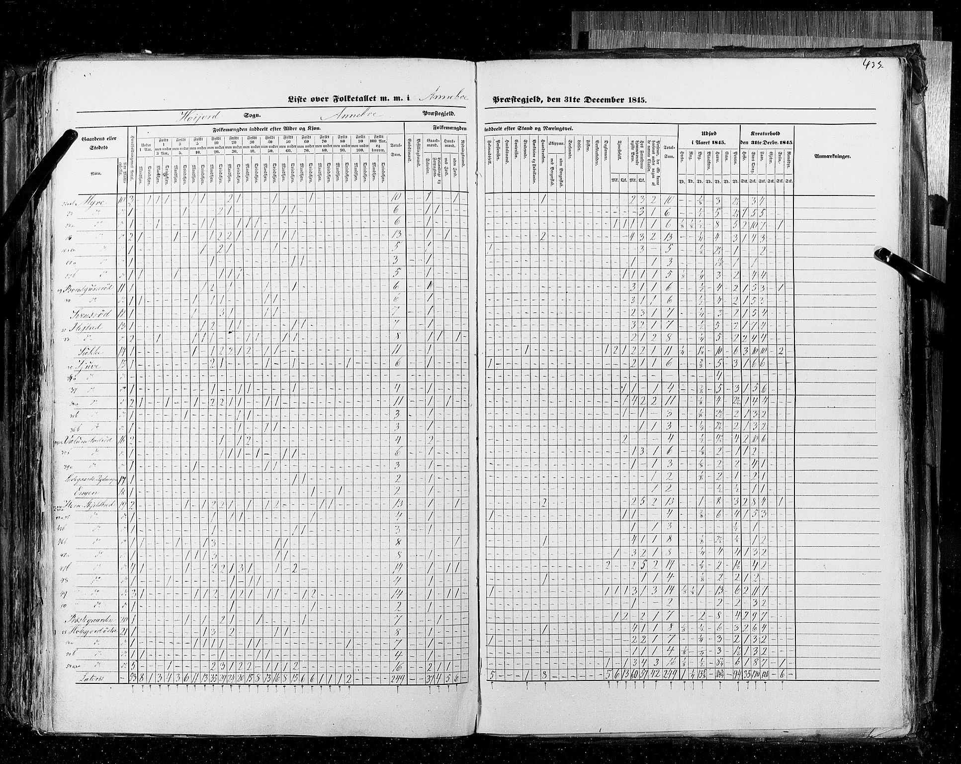 RA, Census 1845, vol. 4: Buskerud amt og Jarlsberg og Larvik amt, 1845, p. 433