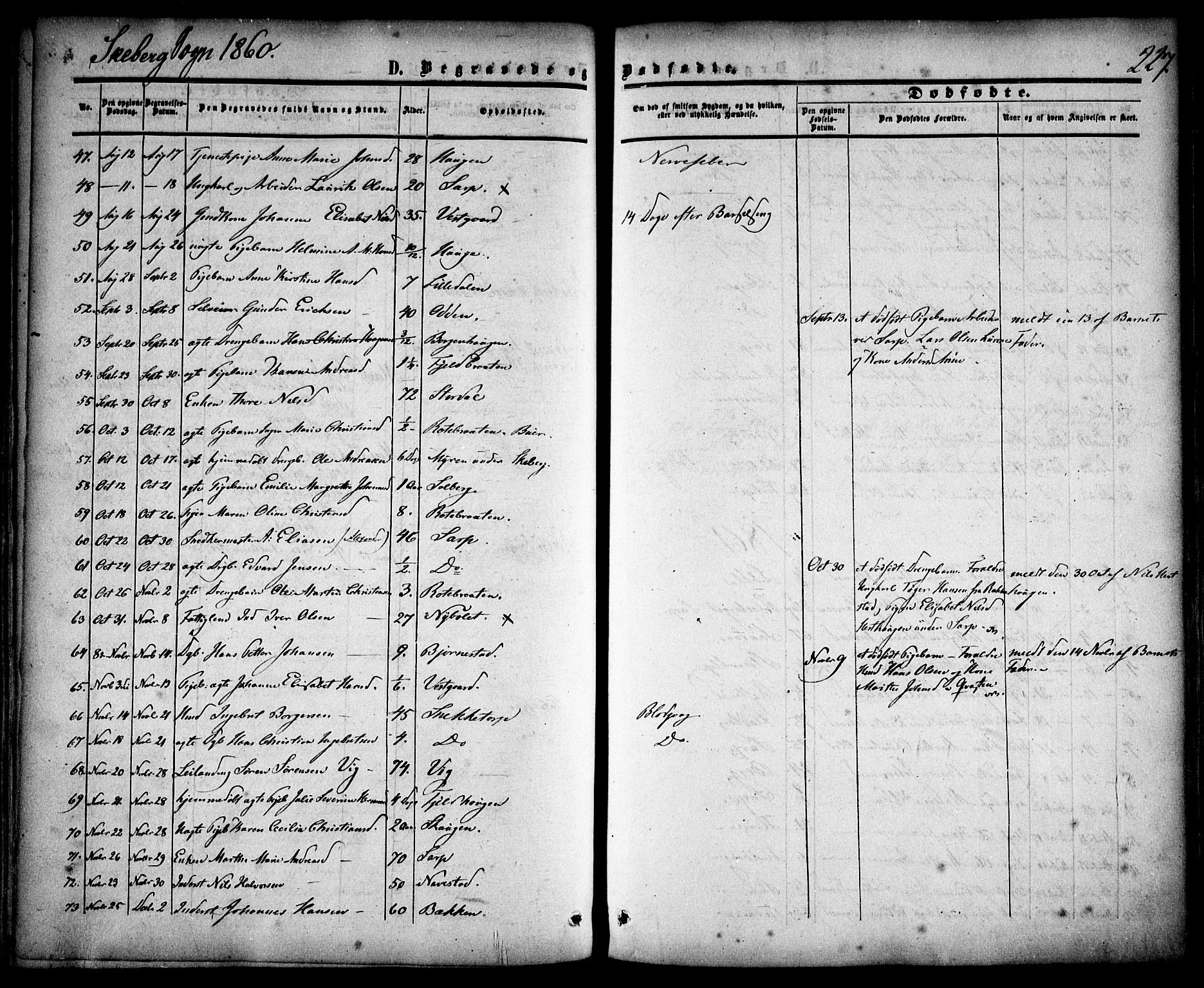 Skjeberg prestekontor Kirkebøker, SAO/A-10923/F/Fa/L0007: Parish register (official) no. I 7, 1859-1868, p. 227
