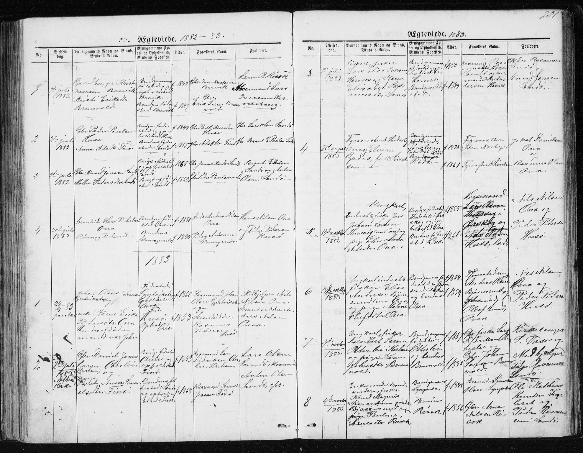 Ministerialprotokoller, klokkerbøker og fødselsregistre - Møre og Romsdal, AV/SAT-A-1454/561/L0732: Parish register (copy) no. 561C02, 1867-1900, p. 201