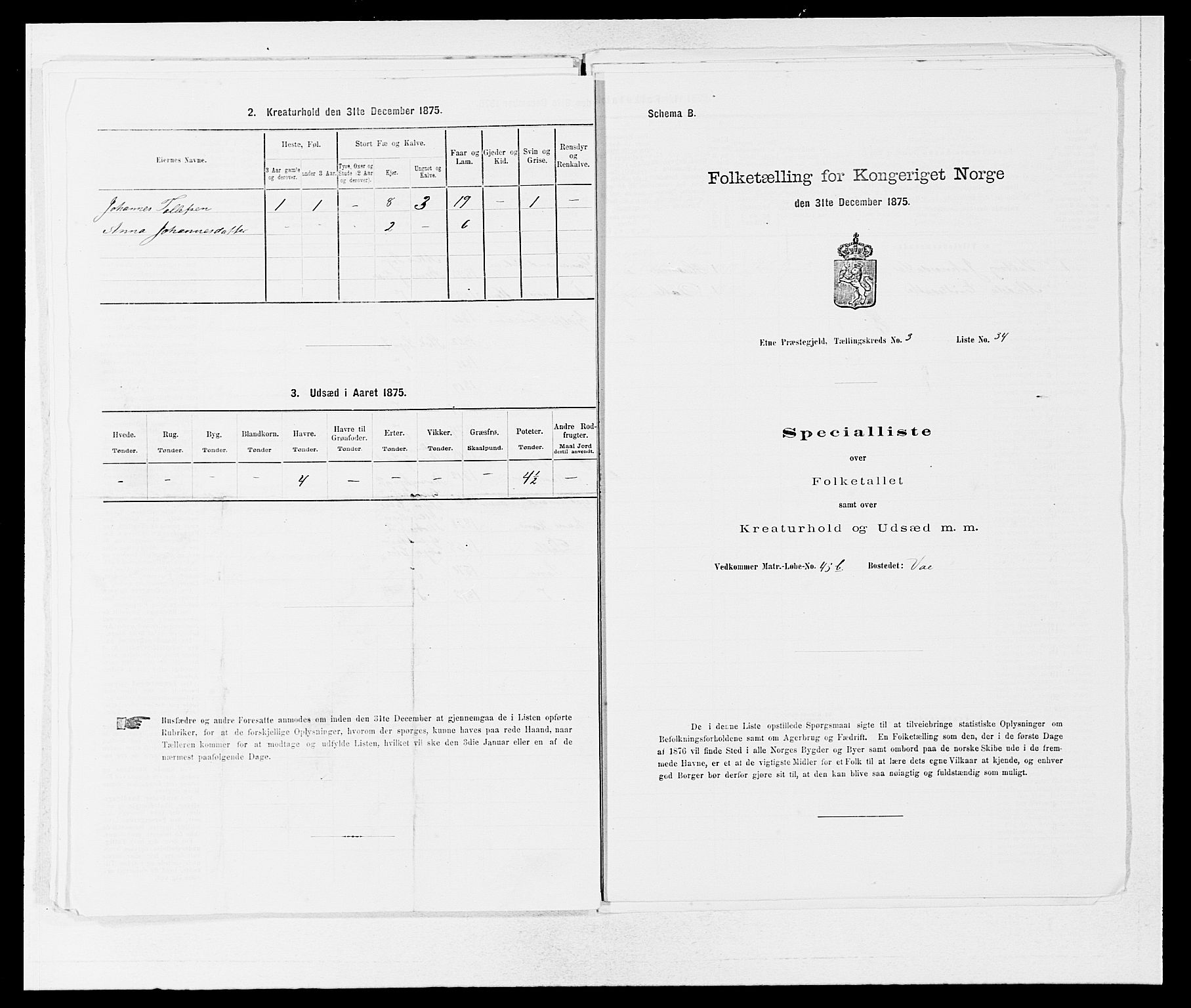 SAB, 1875 census for 1211P Etne, 1875, p. 265