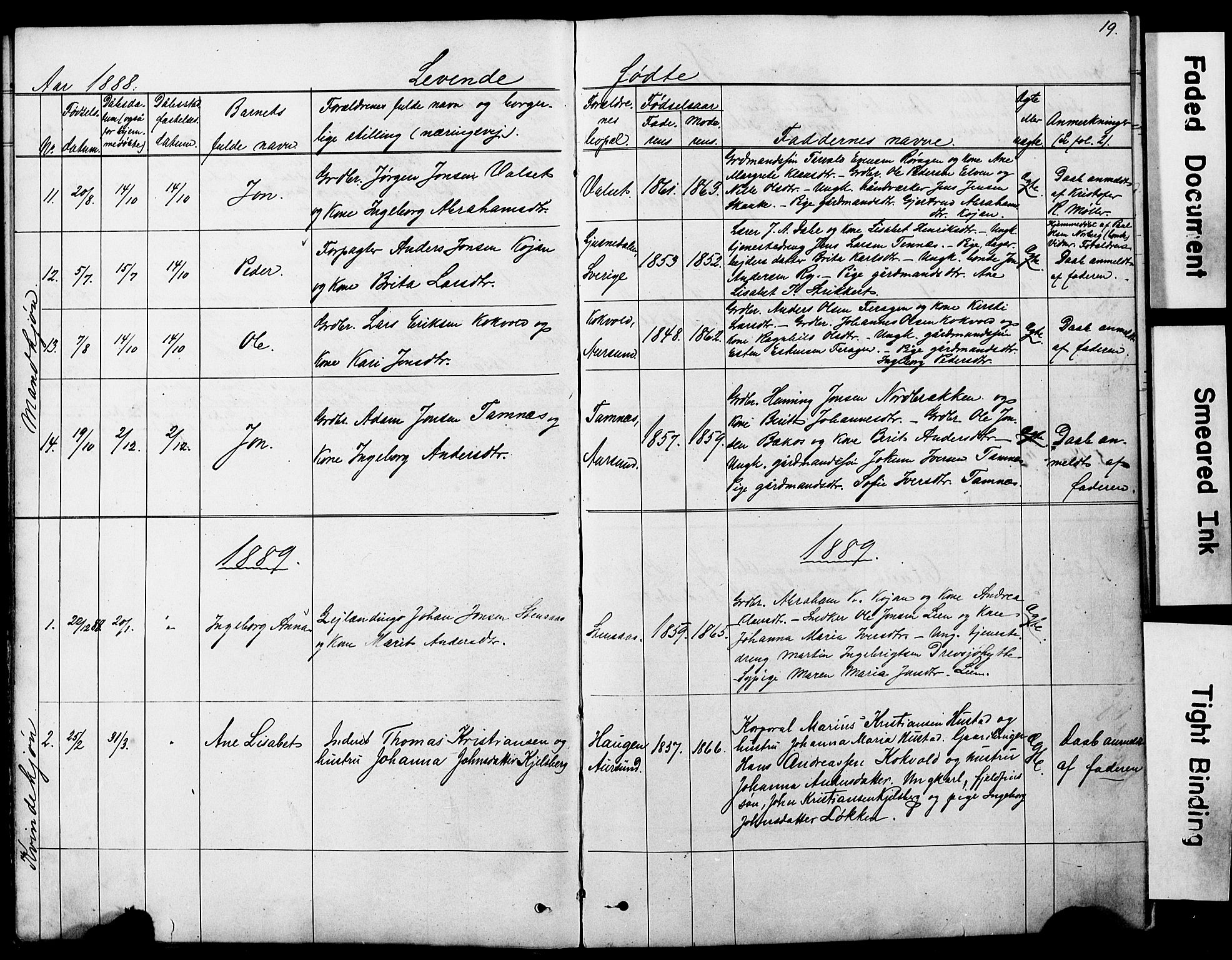 Ministerialprotokoller, klokkerbøker og fødselsregistre - Sør-Trøndelag, SAT/A-1456/683/L0949: Parish register (copy) no. 683C01, 1880-1896, p. 19