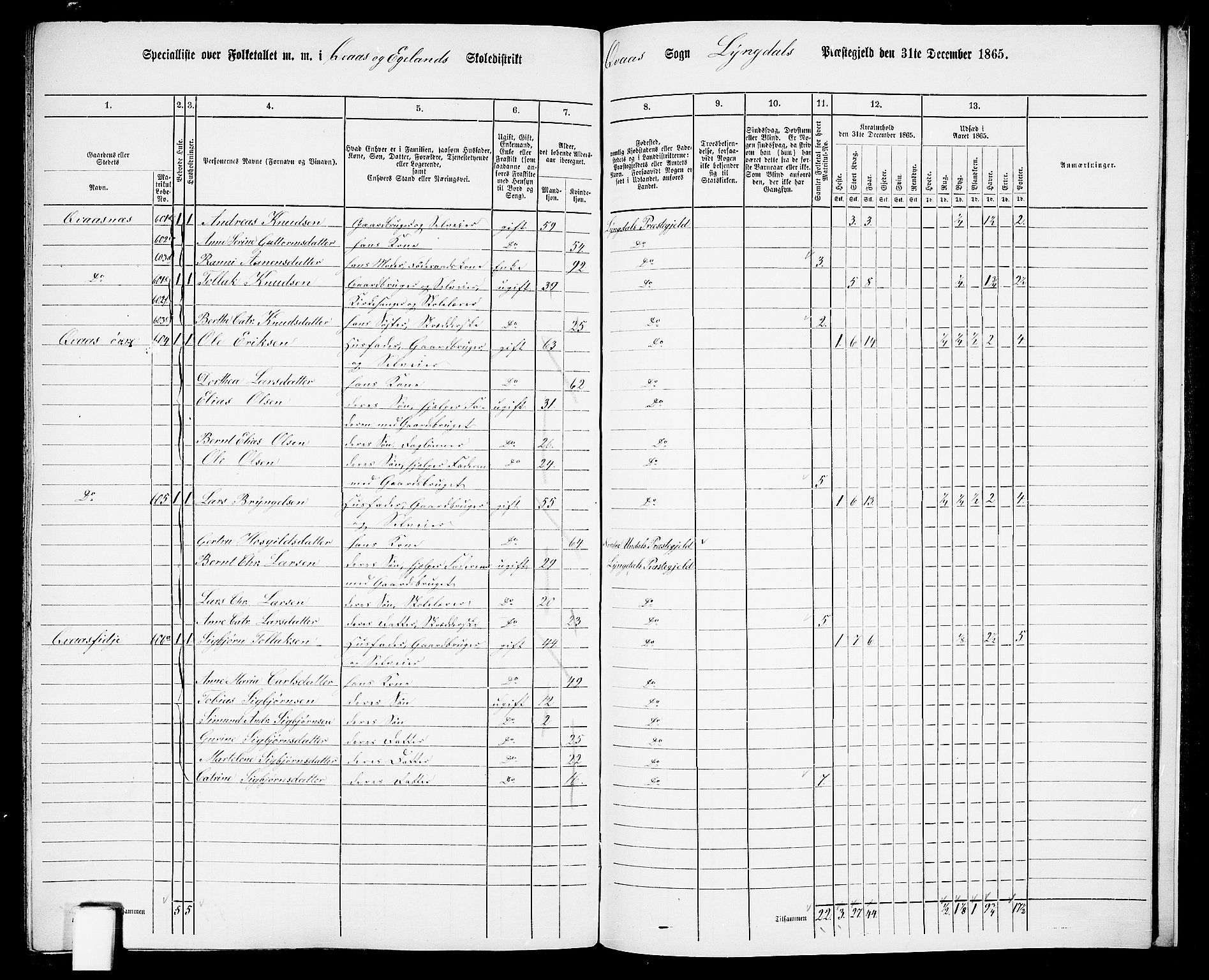 RA, 1865 census for Lyngdal, 1865, p. 238