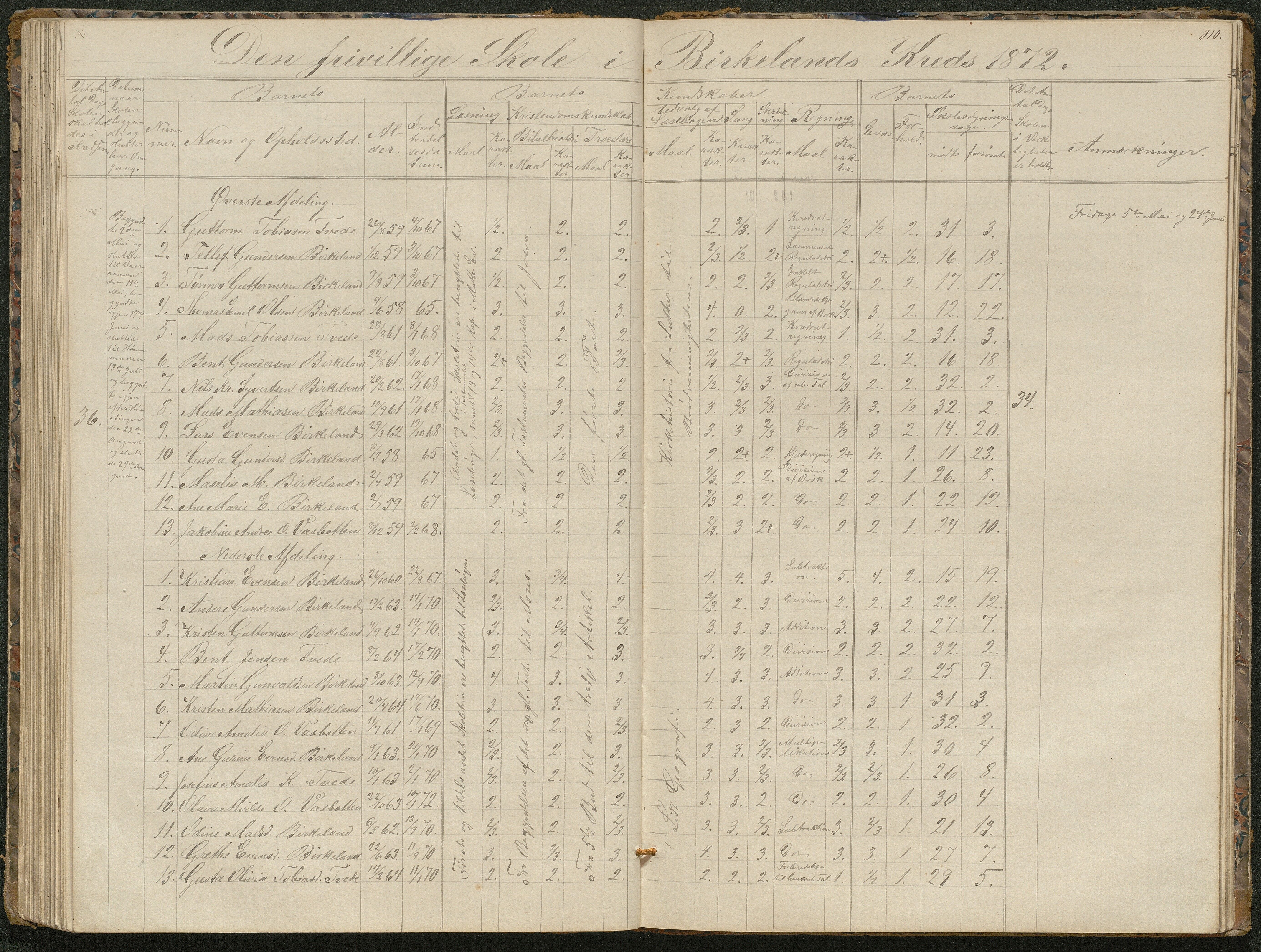 Birkenes kommune, Birkenes krets/Birkeland folkeskole frem til 1991, AAKS/KA0928-550a_91/F02/L0001: Skoleprotokoll, 1862-1896, p. 110