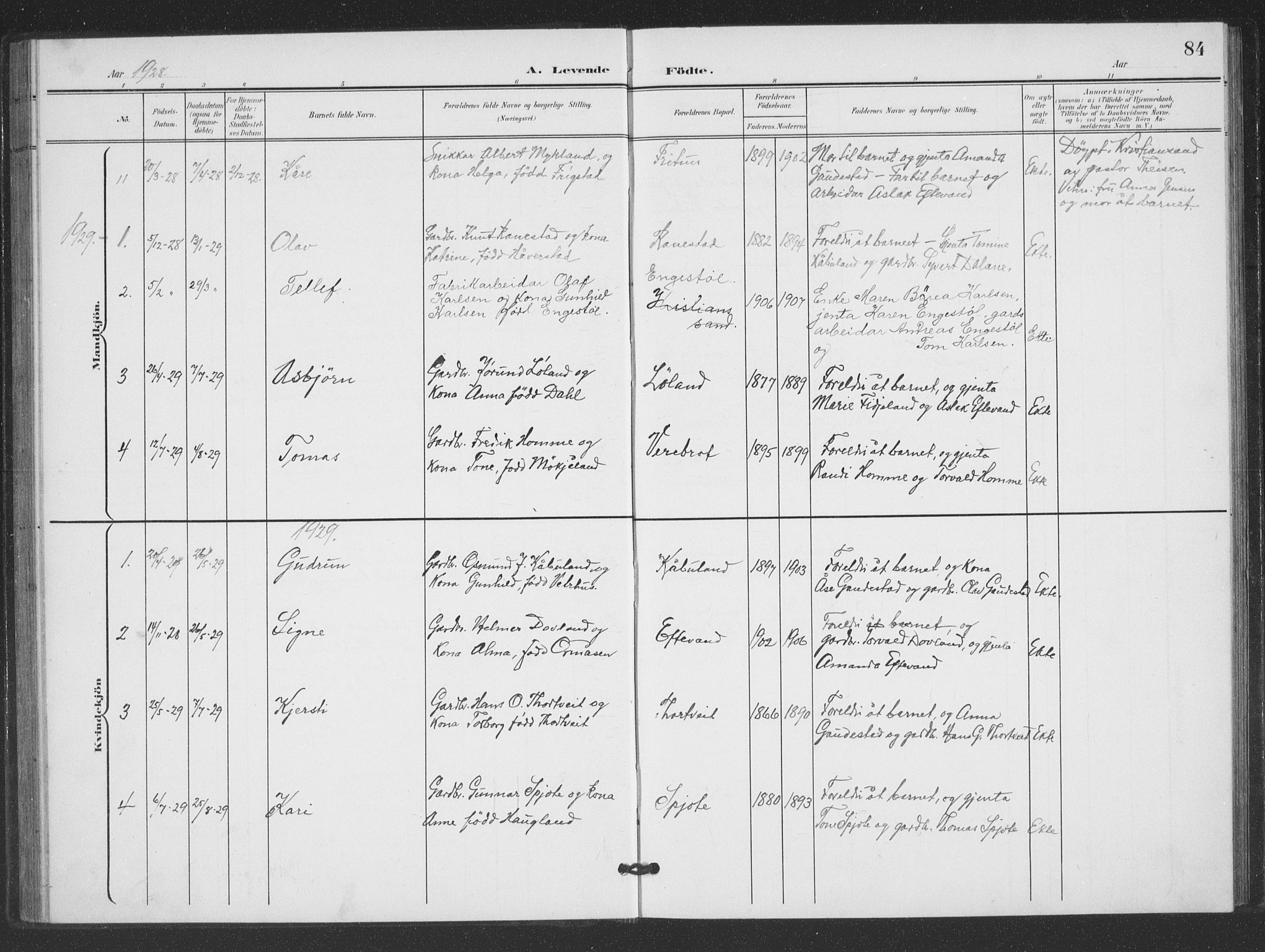 Evje sokneprestkontor, AV/SAK-1111-0008/F/Fb/Fbc/L0005: Parish register (copy) no. B 5, 1901-1935, p. 84