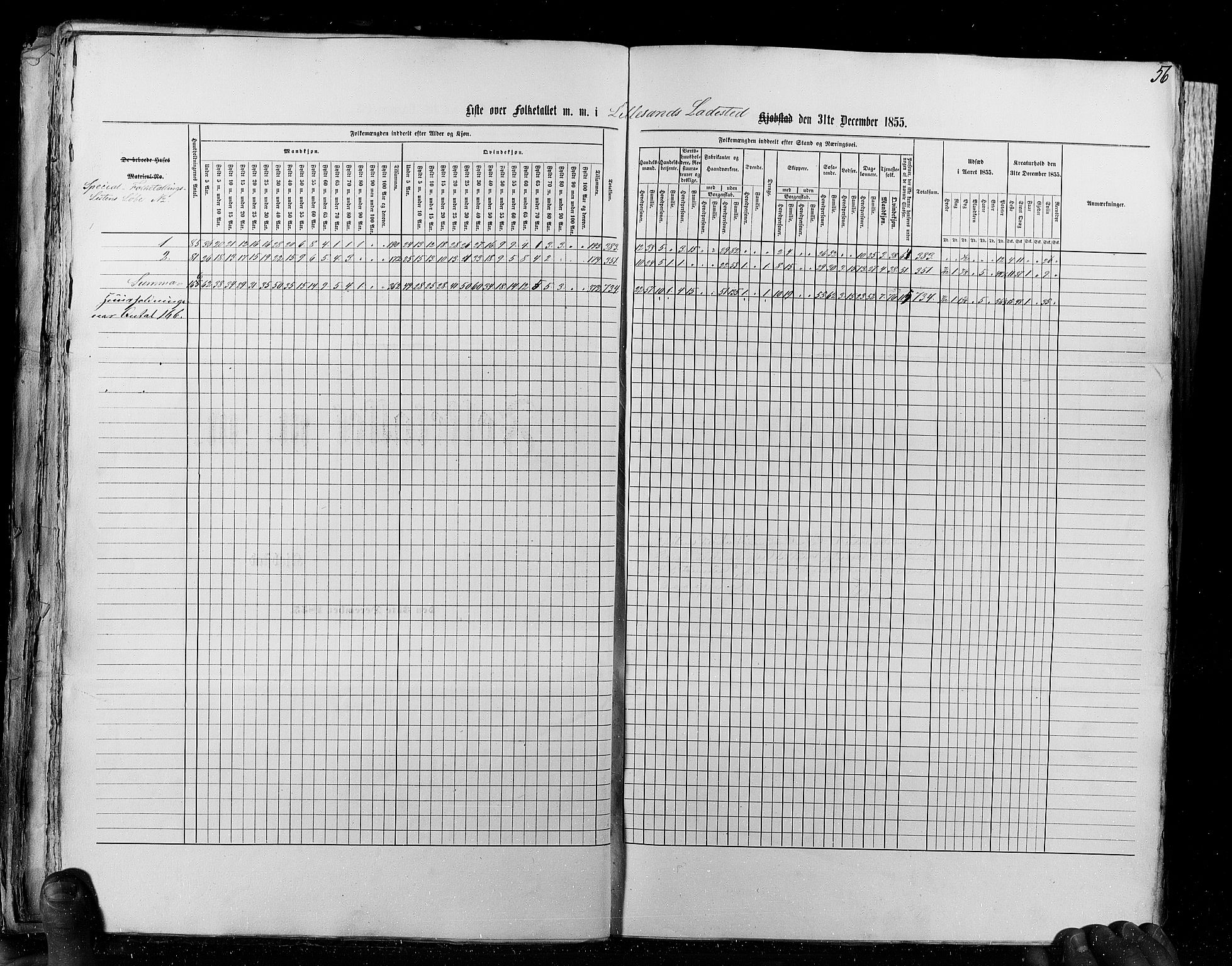 RA, Census 1855, vol. 8: Risør-Vadsø, 1855, p. 56