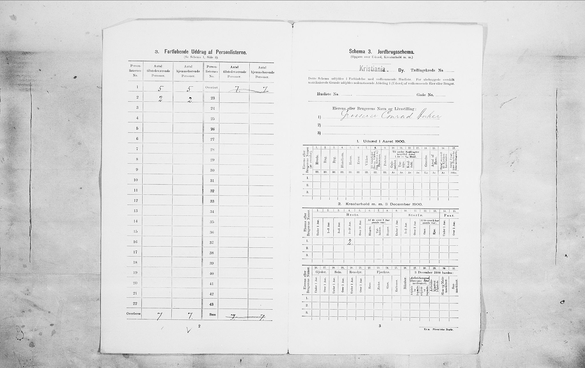 SAO, 1900 census for Kristiania, 1900, p. 91019