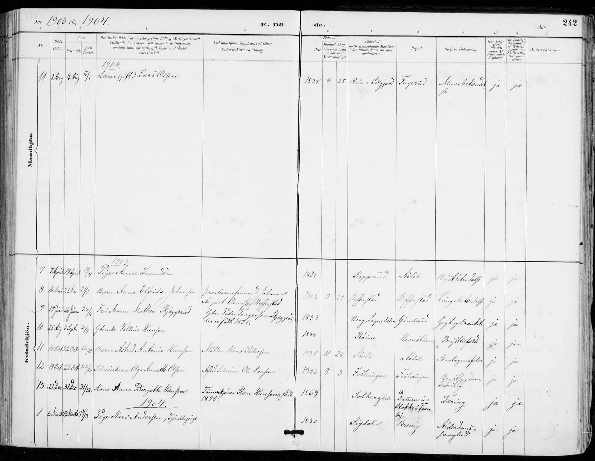 Sylling kirkebøker, SAKO/A-247/F/Fa/L0001: Parish register (official) no. 1, 1883-1910, p. 242