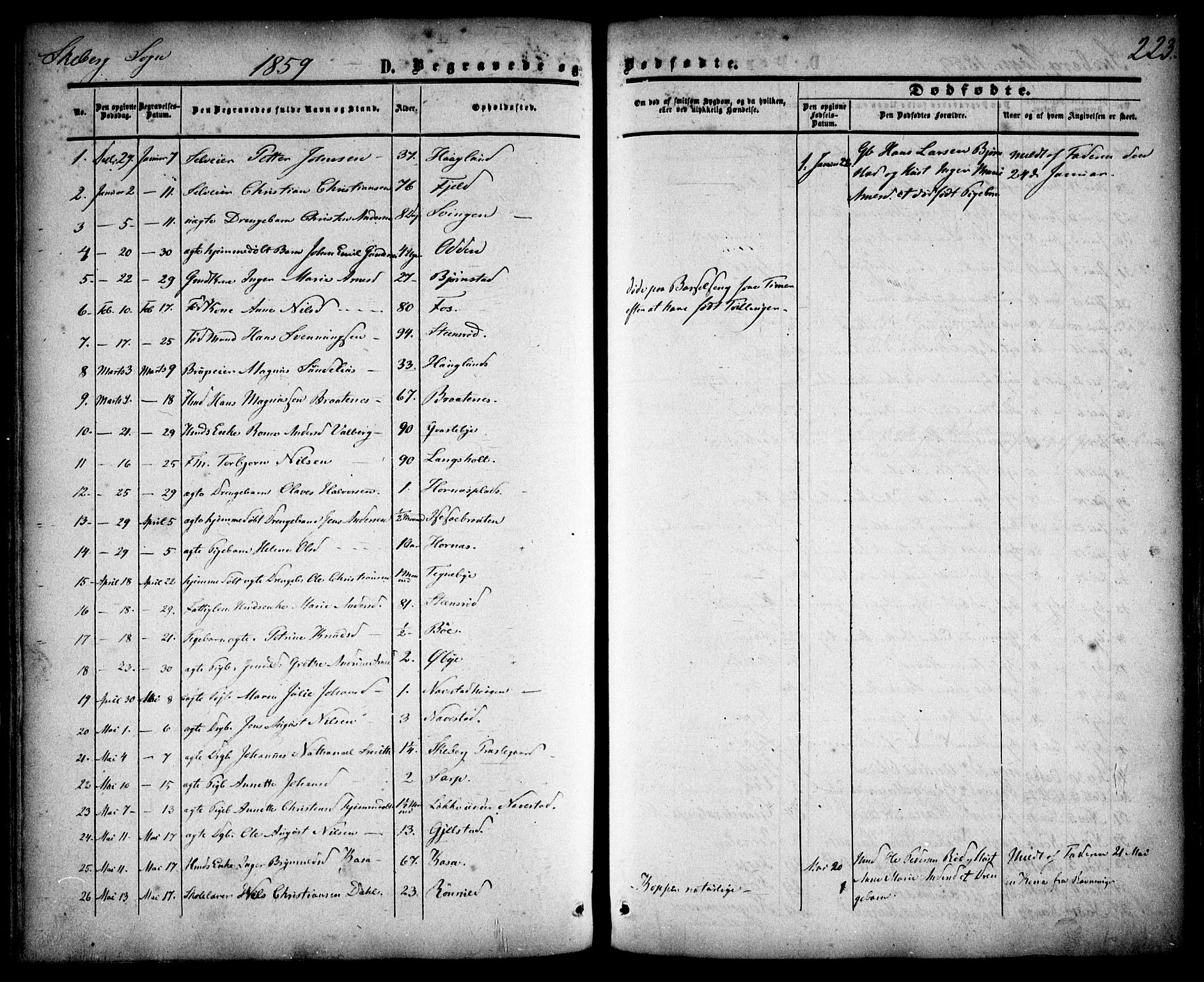 Skjeberg prestekontor Kirkebøker, SAO/A-10923/F/Fa/L0007: Parish register (official) no. I 7, 1859-1868, p. 223