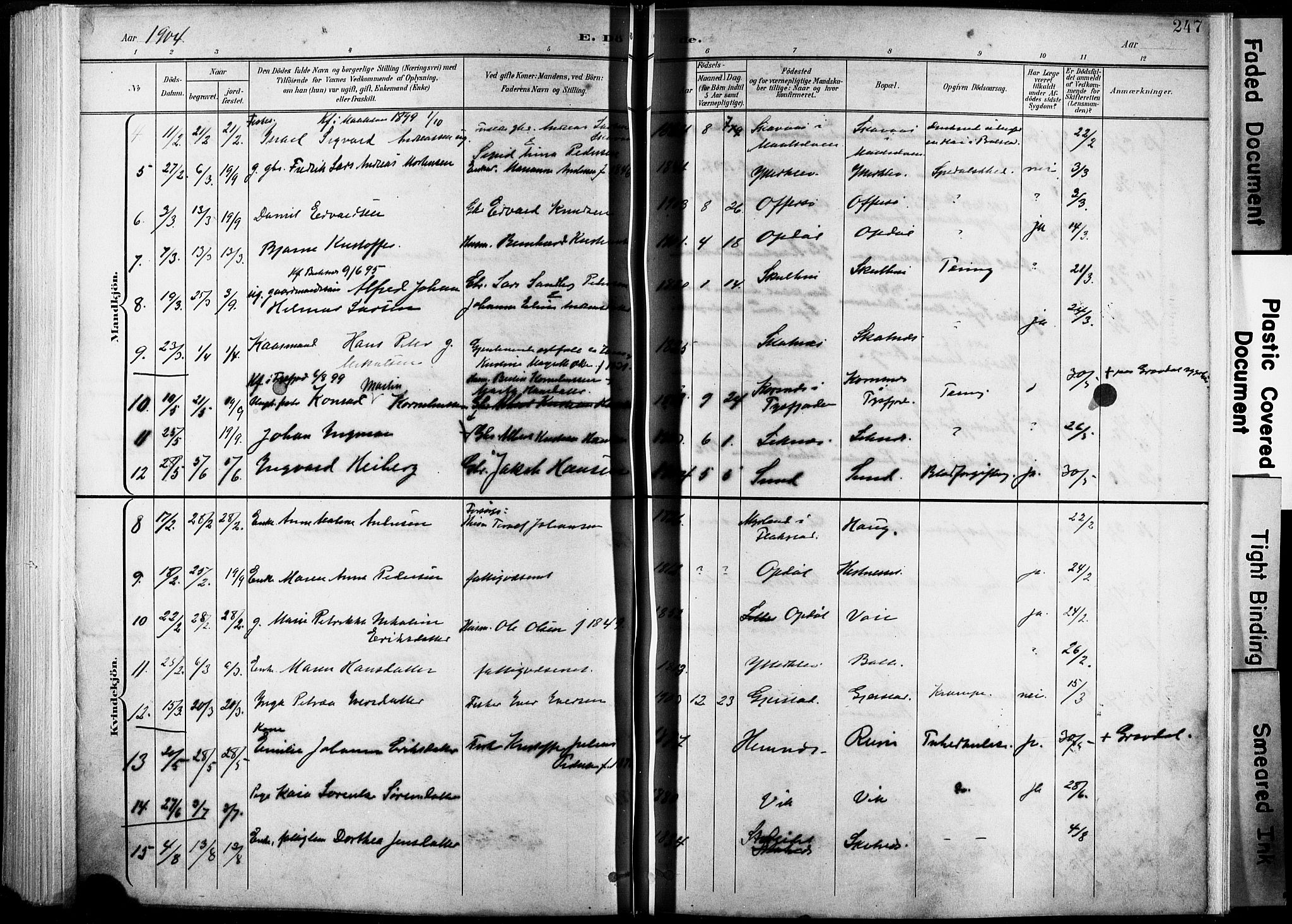 Ministerialprotokoller, klokkerbøker og fødselsregistre - Nordland, AV/SAT-A-1459/881/L1151: Parish register (official) no. 881A04, 1899-1907, p. 247