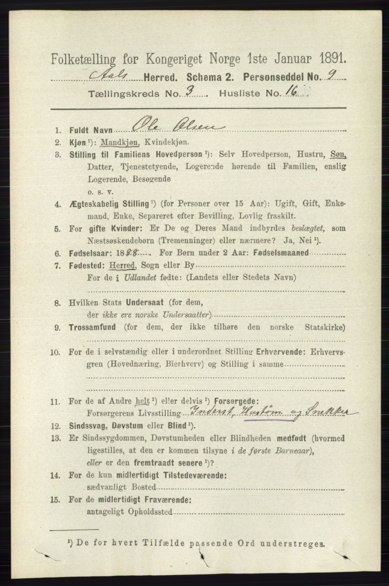 RA, 1891 census for 0619 Ål, 1891, p. 752