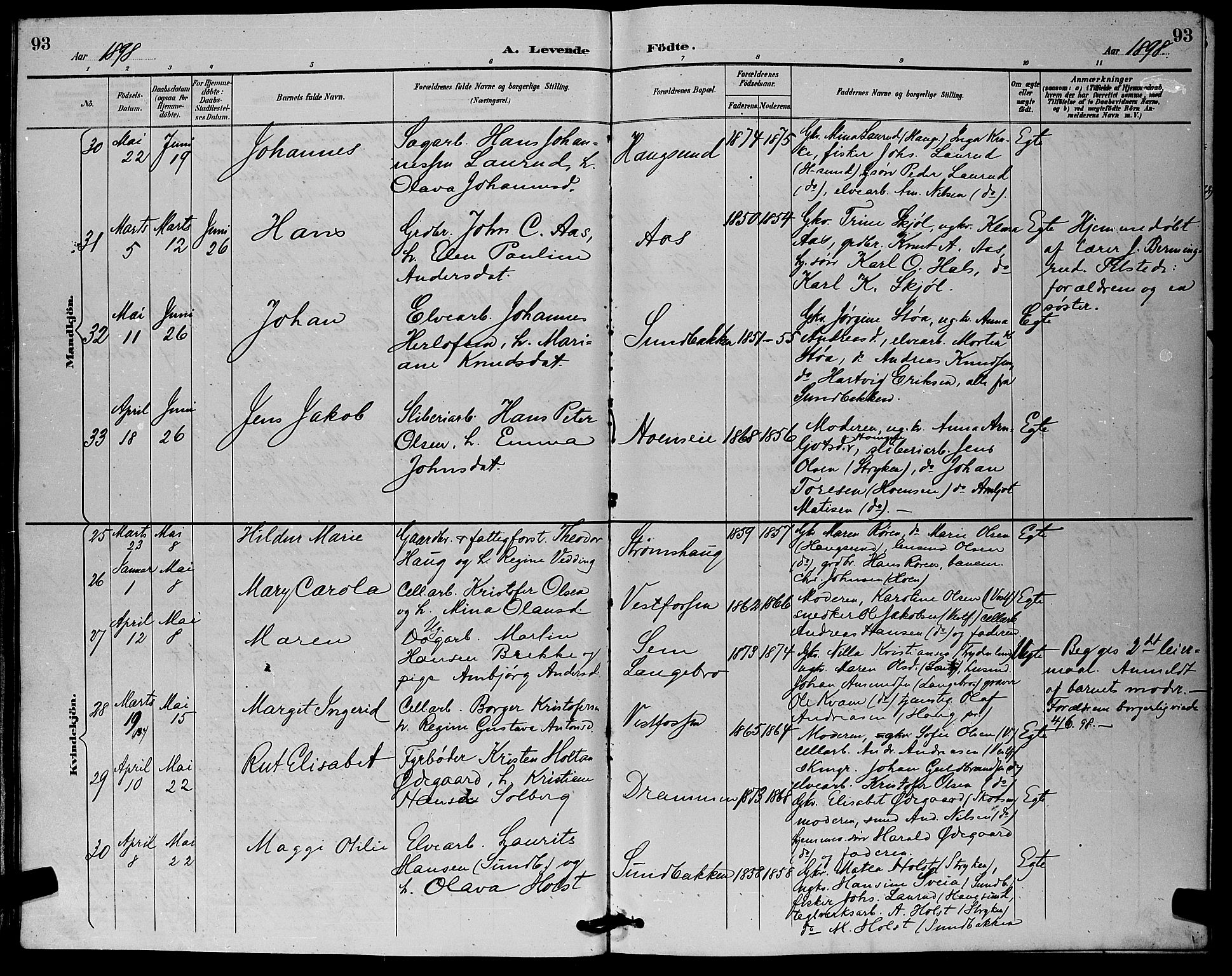 Eiker kirkebøker, AV/SAKO-A-4/G/Ga/L0007: Parish register (copy) no. I 7, 1893-1902, p. 93