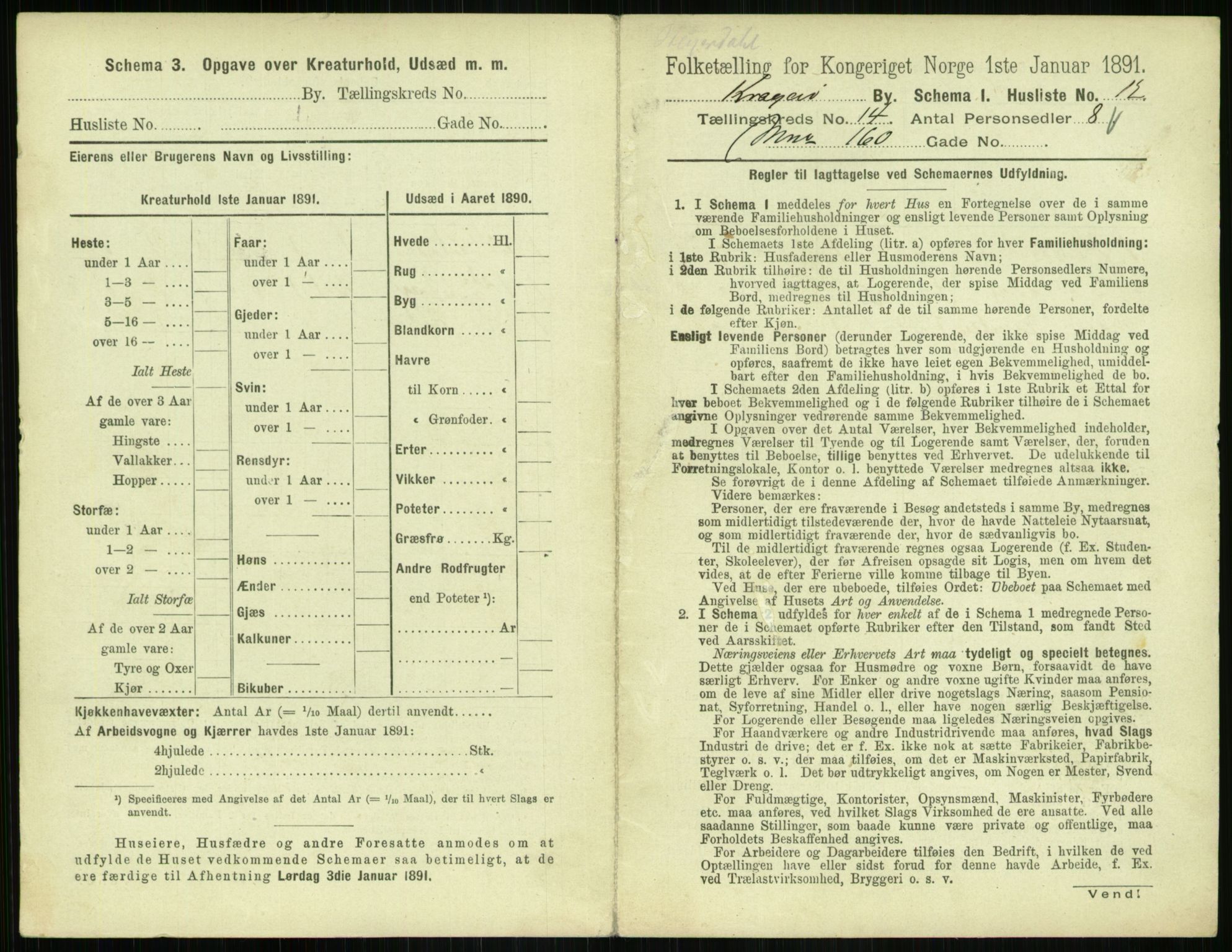 RA, 1891 census for 0801 Kragerø, 1891, p. 696