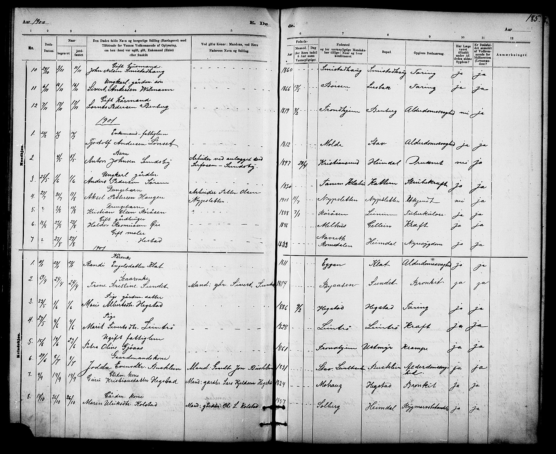 Ministerialprotokoller, klokkerbøker og fødselsregistre - Sør-Trøndelag, SAT/A-1456/613/L0395: Parish register (copy) no. 613C03, 1887-1909, p. 185