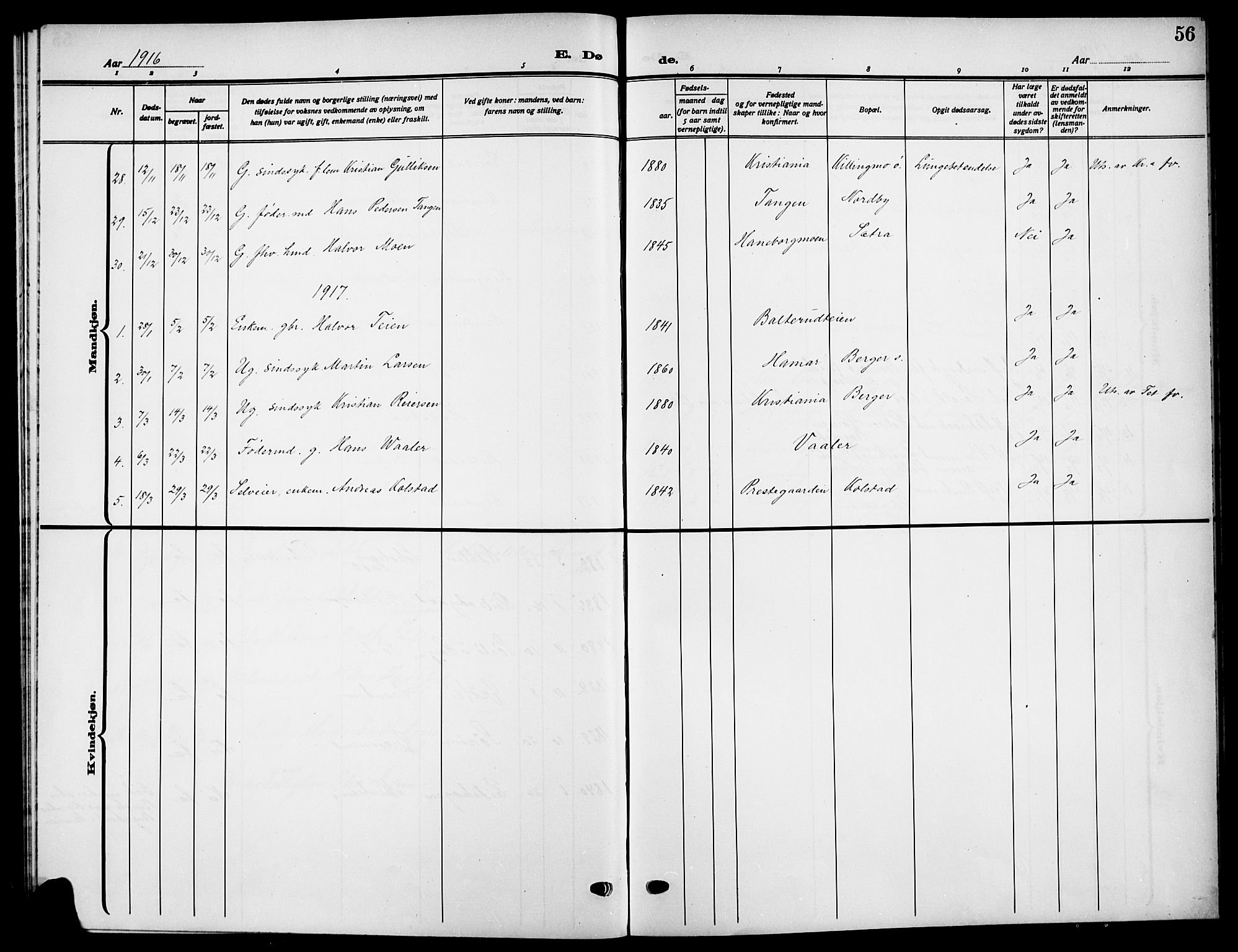 Aurskog prestekontor Kirkebøker, SAO/A-10304a/G/Ga/L0005: Parish register (copy) no. I 5, 1913-1925, p. 56