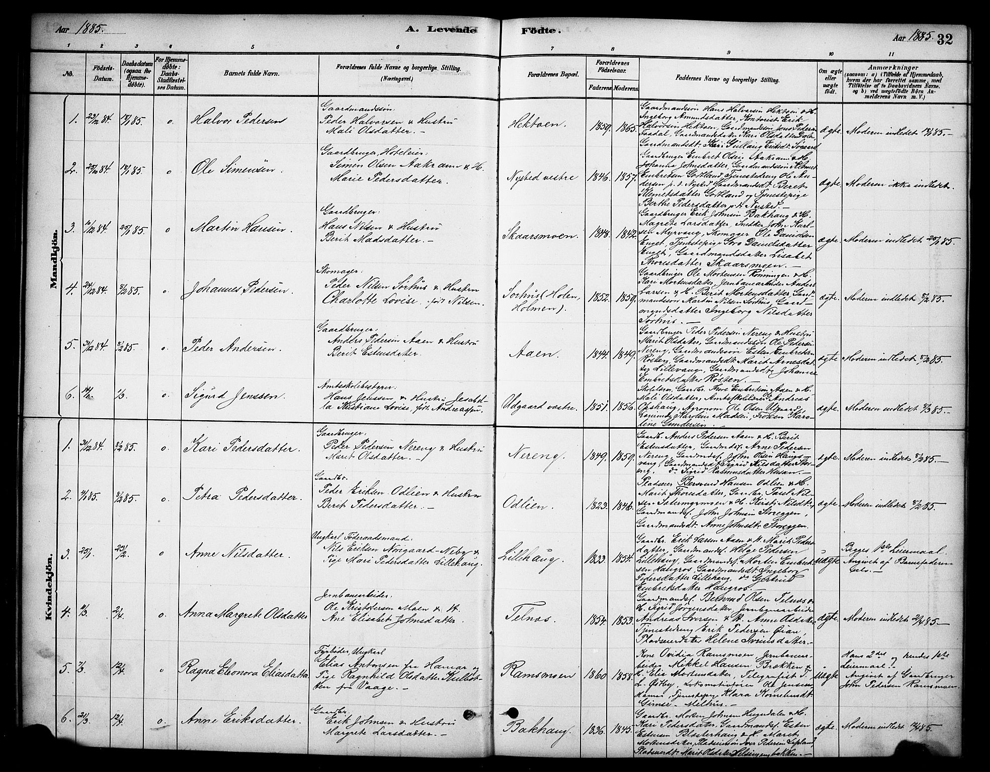 Tynset prestekontor, AV/SAH-PREST-058/H/Ha/Hab/L0006: Parish register (copy) no. 6, 1880-1899, p. 32