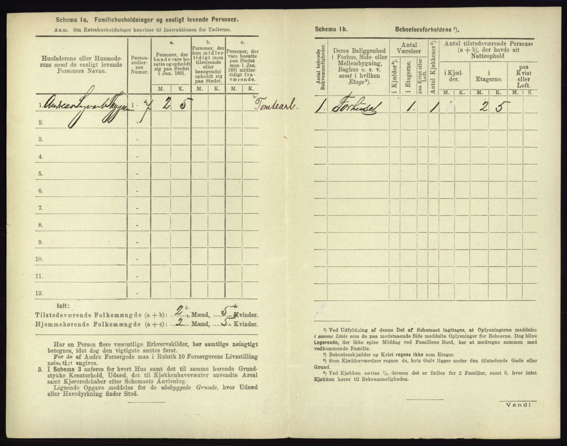 RA, 1891 census for 0602 Drammen, 1891, p. 3010