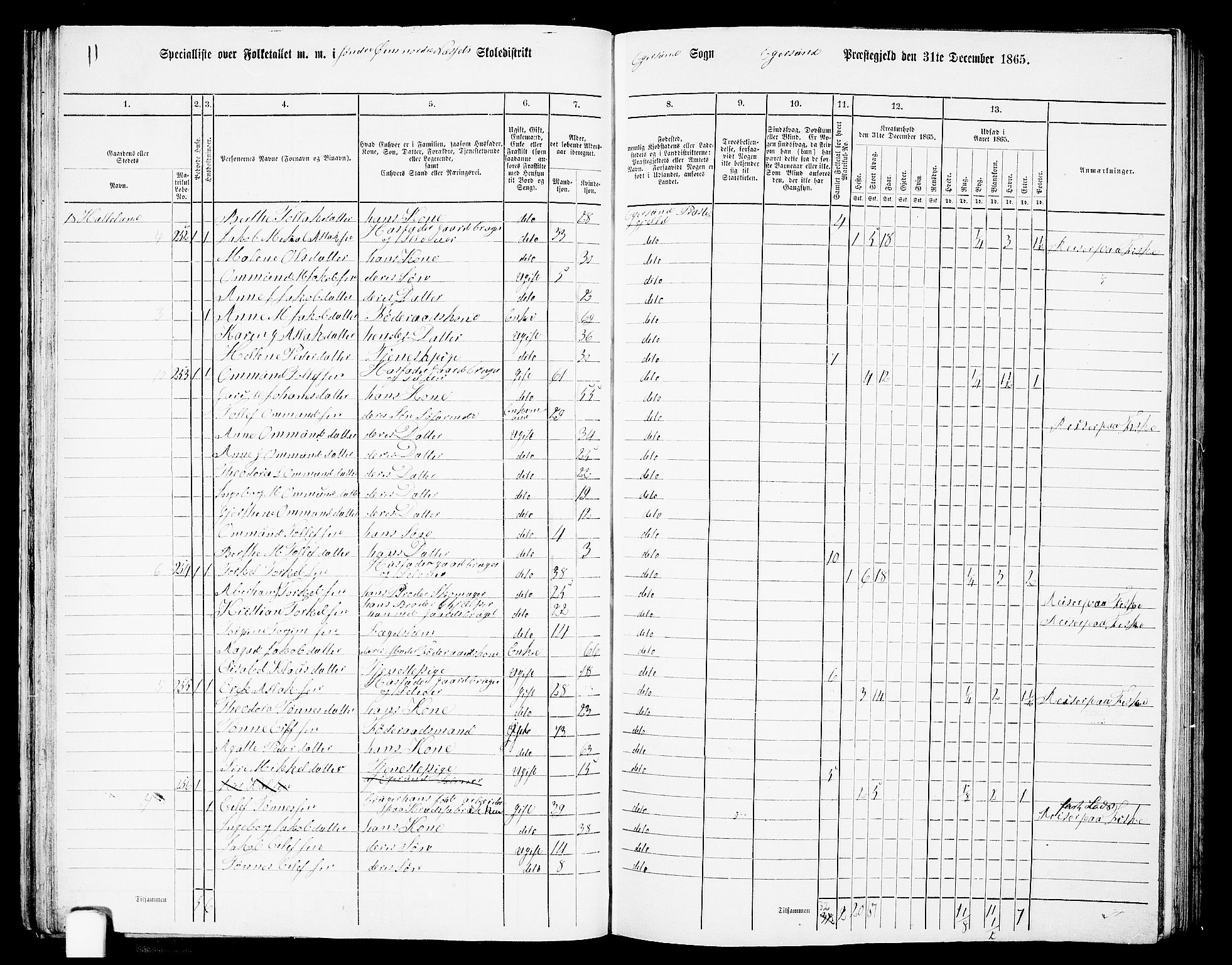 RA, 1865 census for Eigersund/Eigersund og Ogna, 1865, p. 50