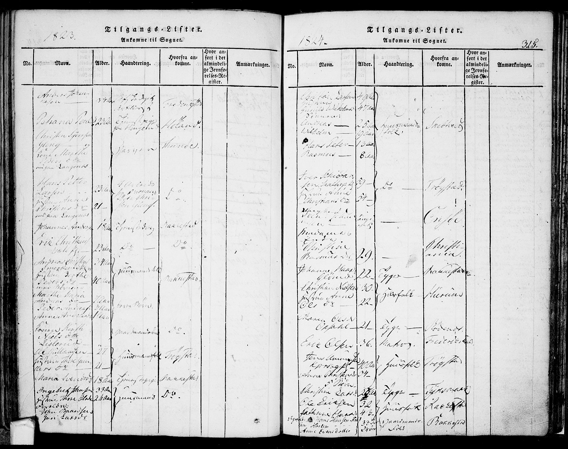 Eidsberg prestekontor Kirkebøker, SAO/A-10905/F/Fa/L0007: Parish register (official) no. I 7, 1814-1832, p. 315