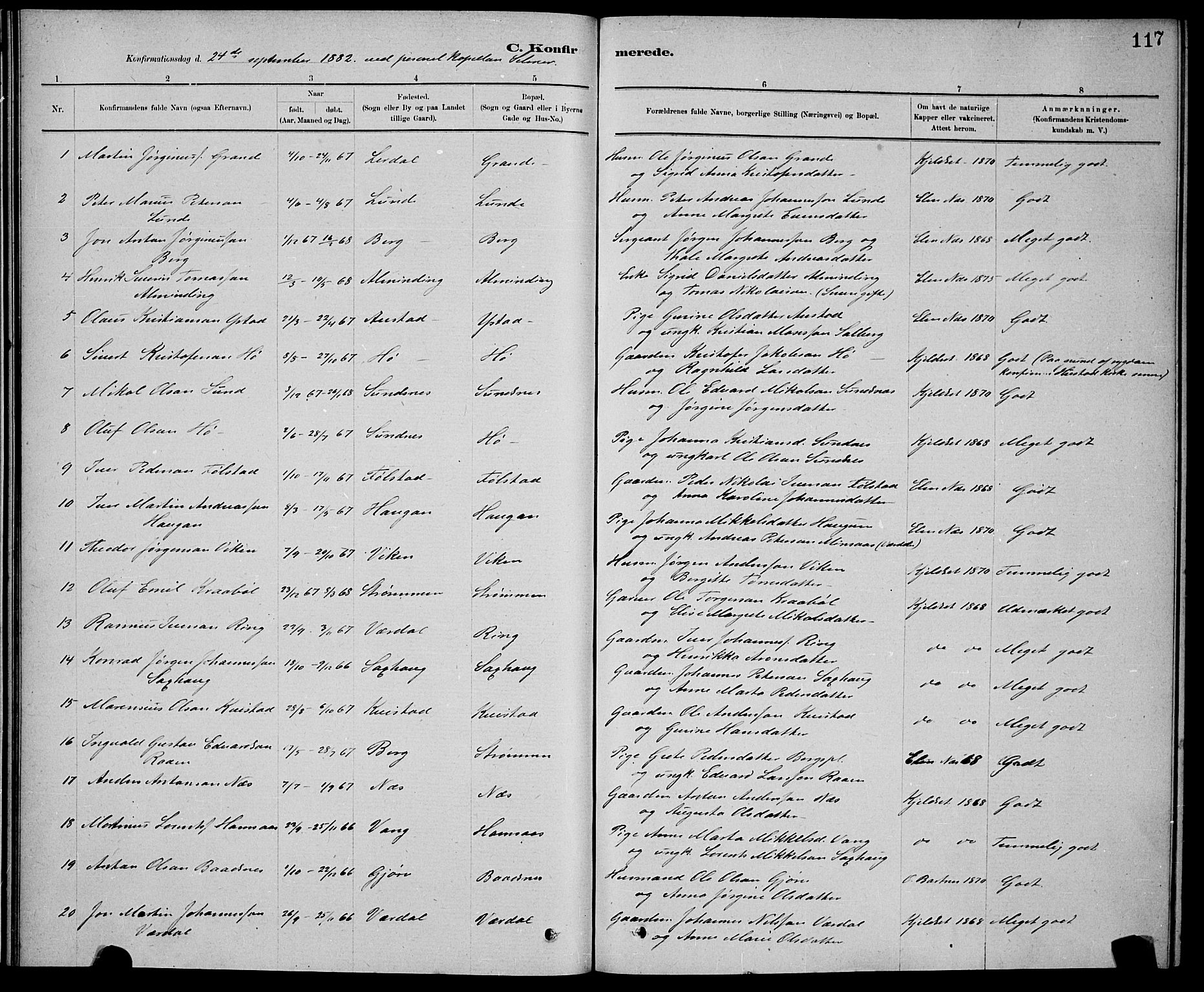 Ministerialprotokoller, klokkerbøker og fødselsregistre - Nord-Trøndelag, SAT/A-1458/730/L0301: Parish register (copy) no. 730C04, 1880-1897, p. 117