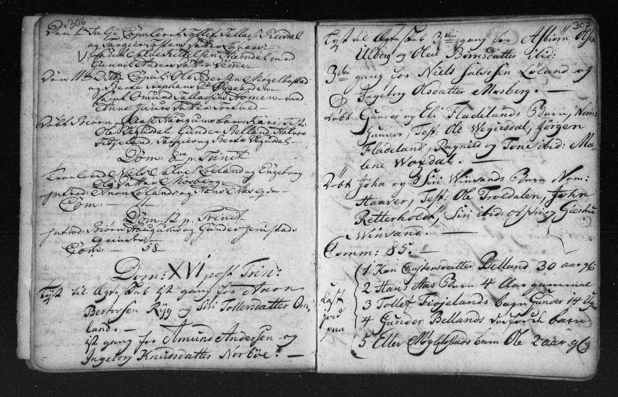 Herefoss sokneprestkontor, AV/SAK-1111-0019/F/Fa/Fab/L0001: Parish register (official) no. A 1, 1704-1779, p. 306-307