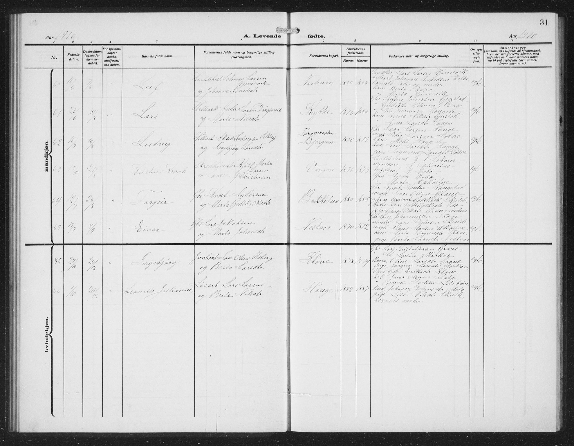 Voss sokneprestembete, AV/SAB-A-79001/H/Hab: Parish register (copy) no. C 3, 1909-1920, p. 31