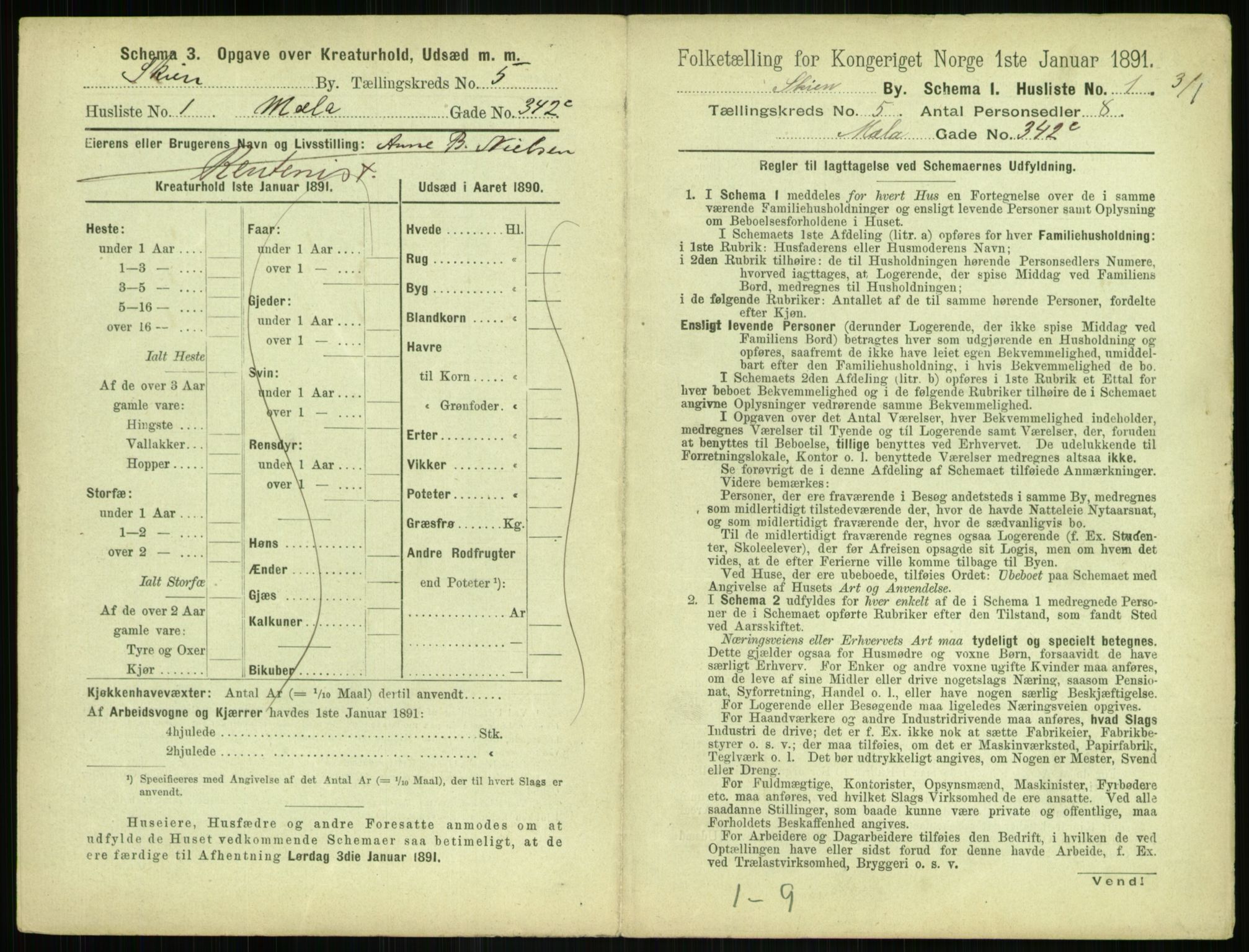 RA, 1891 census for 0806 Skien, 1891, p. 260