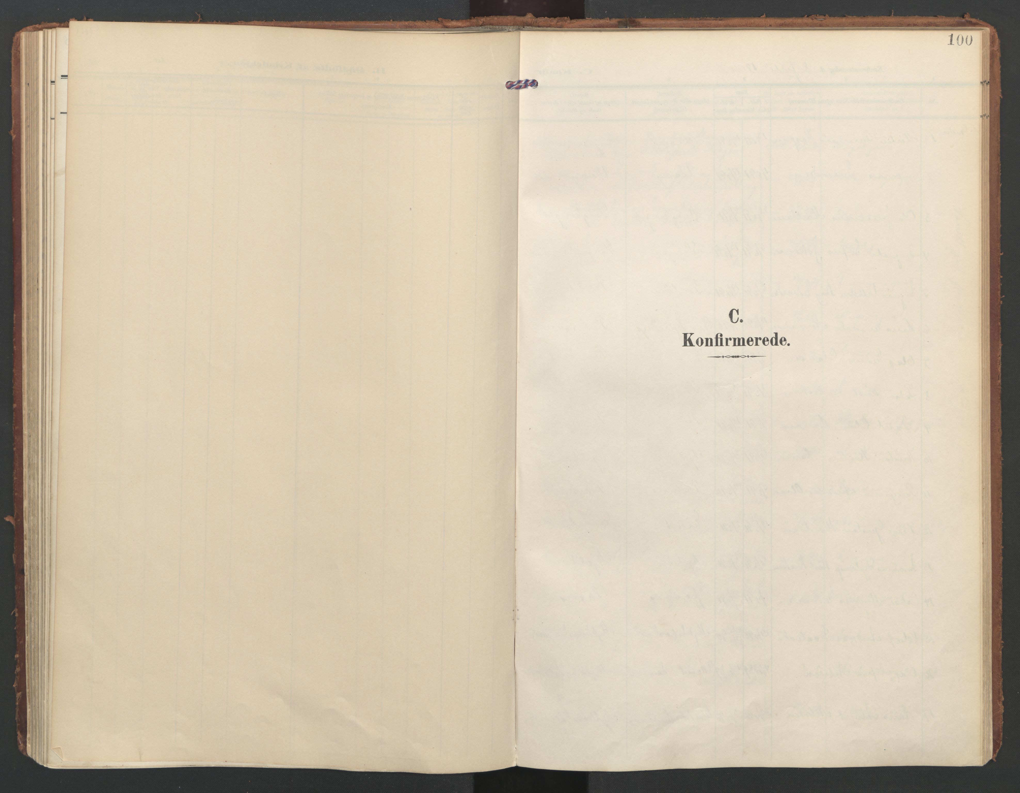 Ministerialprotokoller, klokkerbøker og fødselsregistre - Nordland, SAT/A-1459/855/L0805: Parish register (official) no. 855A13, 1906-1920, p. 100