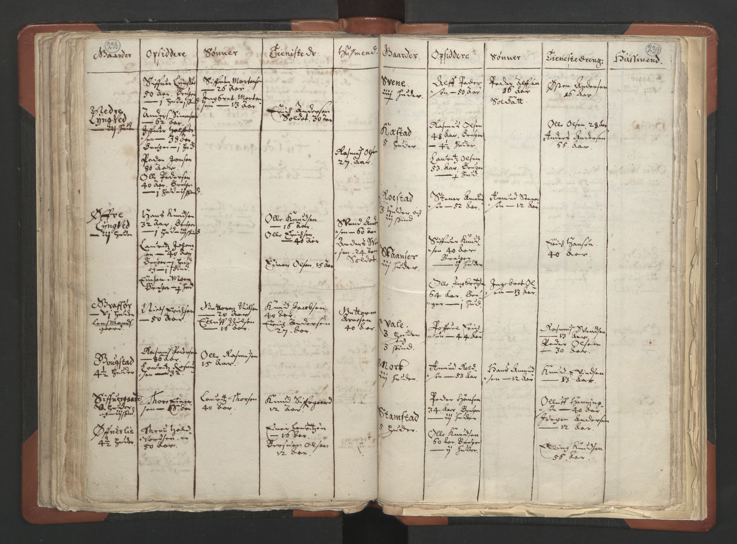 RA, Vicar's Census 1664-1666, no. 6: Gudbrandsdal deanery, 1664-1666, p. 238-239