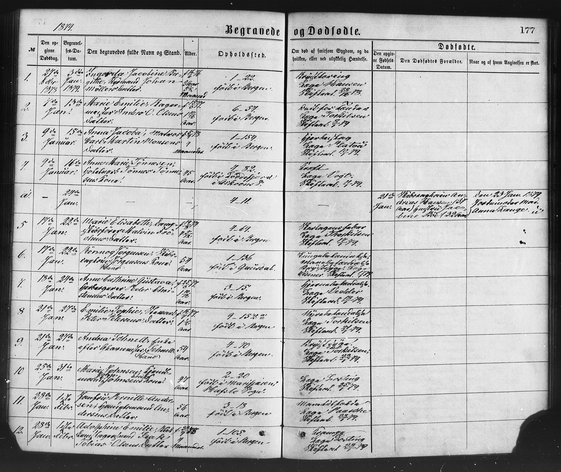 Nykirken Sokneprestembete, SAB/A-77101/H/Haa/L0043: Parish register (official) no. E 3, 1869-1882, p. 177