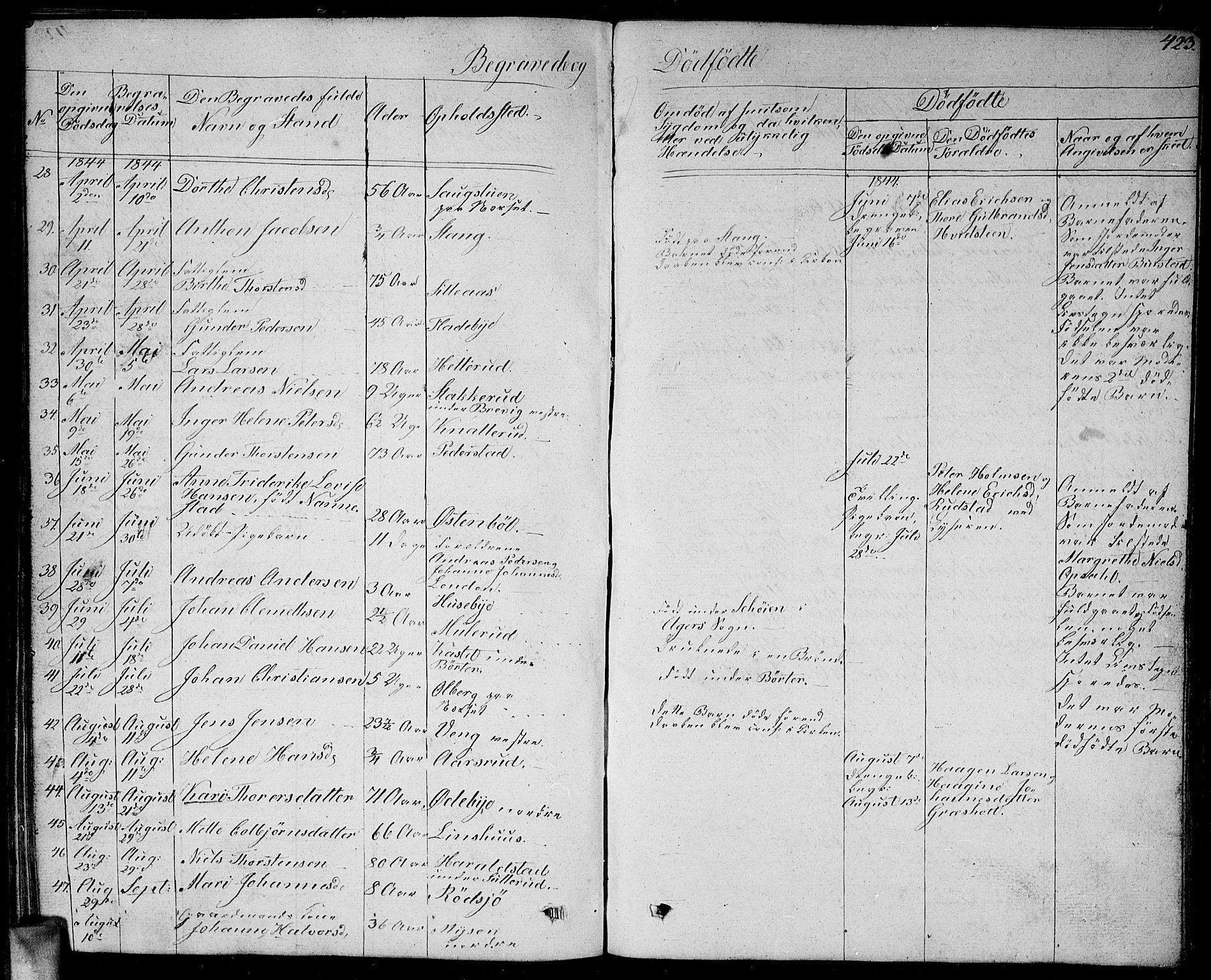 Enebakk prestekontor Kirkebøker, AV/SAO-A-10171c/G/Ga/L0003: Parish register (copy) no. I 3, 1833-1849, p. 423