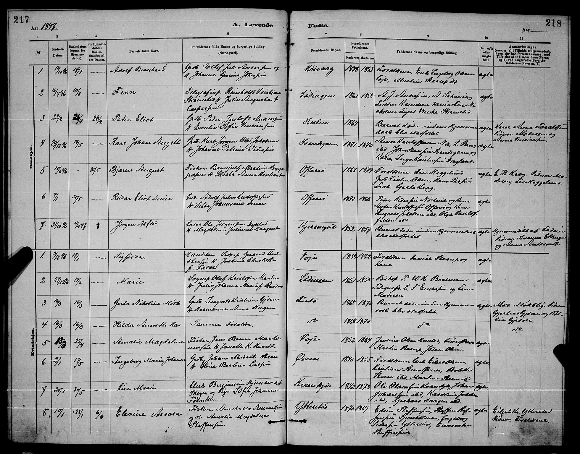 Ministerialprotokoller, klokkerbøker og fødselsregistre - Nordland, AV/SAT-A-1459/872/L1047: Parish register (copy) no. 872C03, 1880-1897, p. 217-218