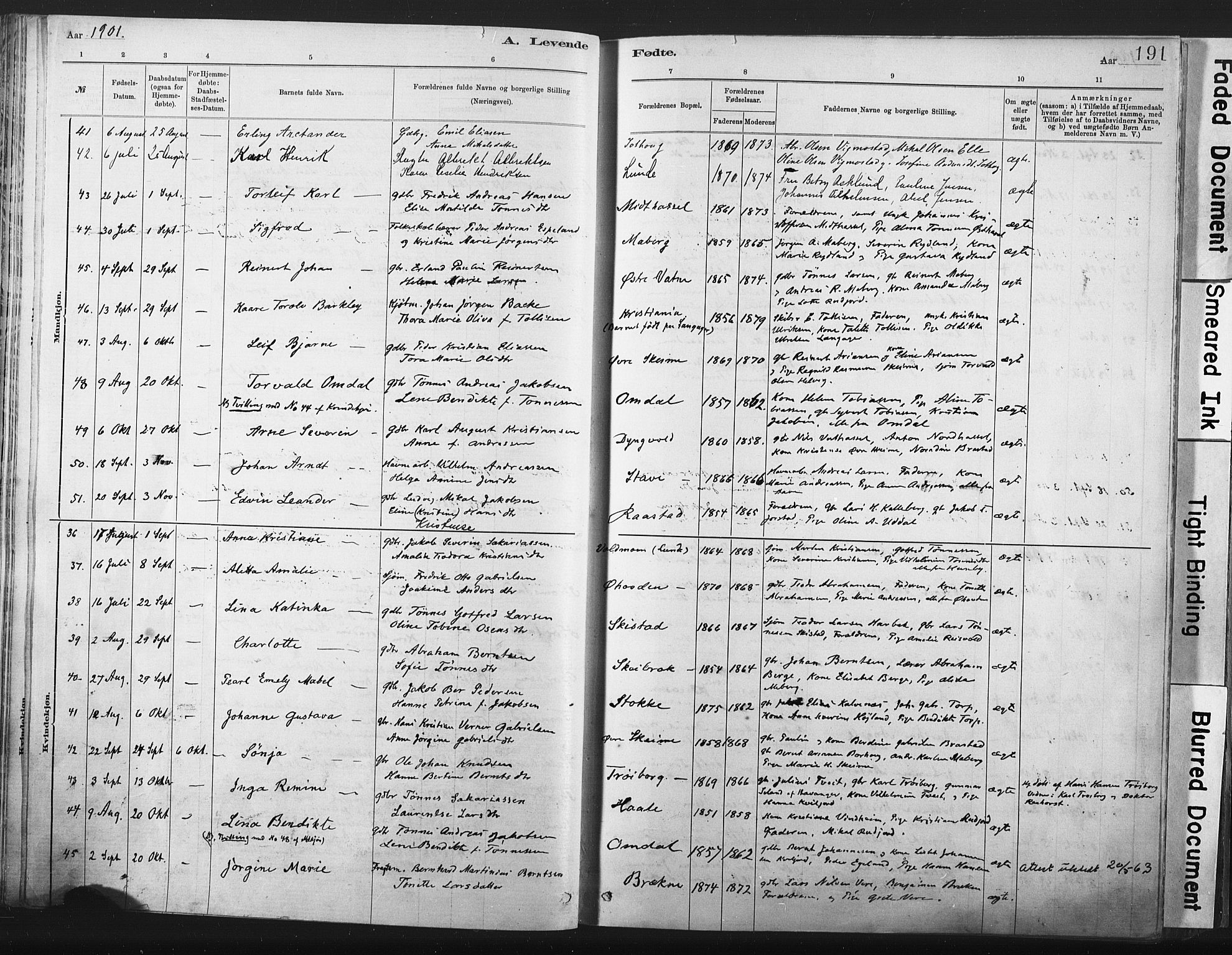 Lista sokneprestkontor, AV/SAK-1111-0027/F/Fa/L0012: Parish register (official) no. A 12, 1879-1903, p. 191