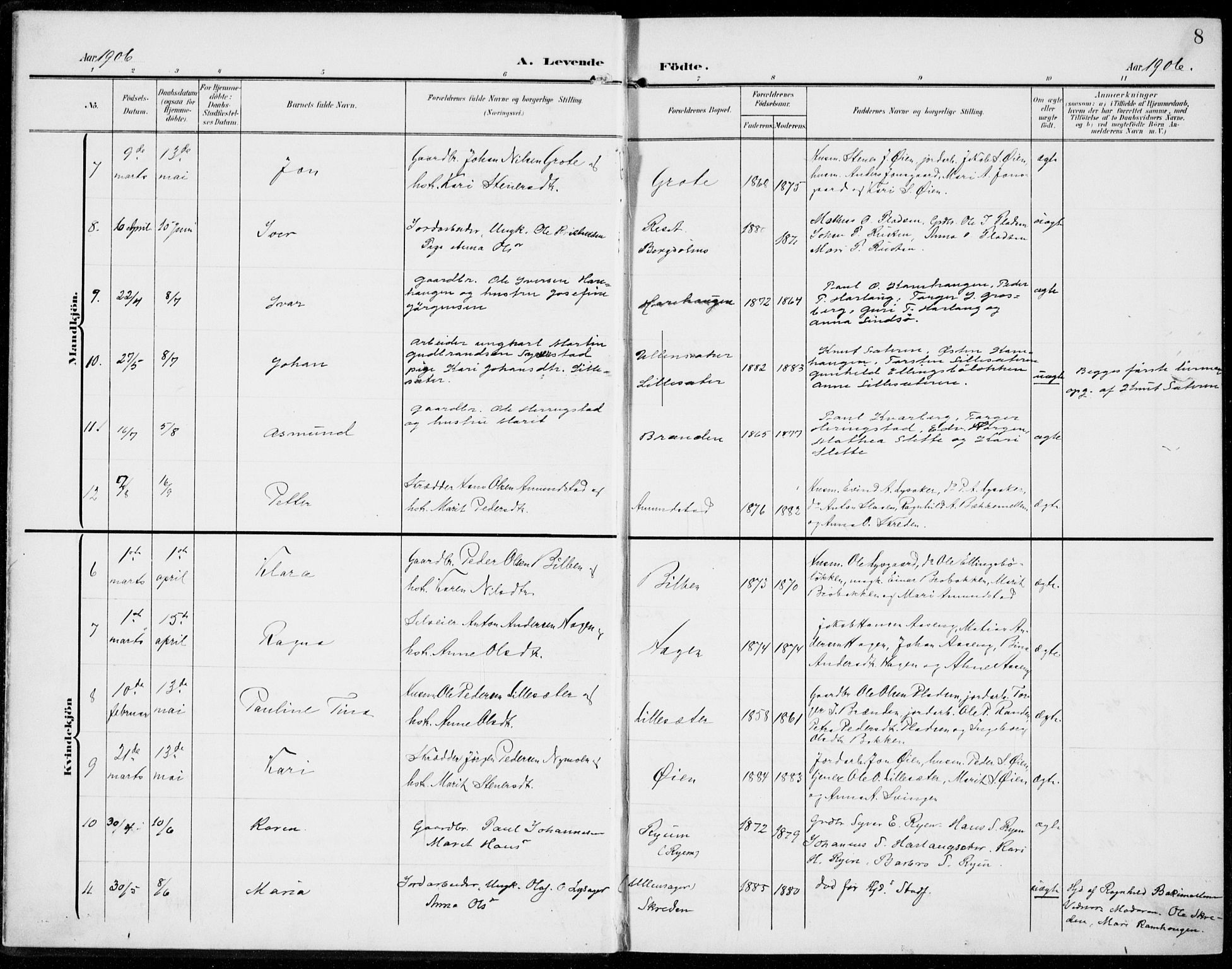 Sel prestekontor, SAH/PREST-074/H/Ha/Haa/L0001: Parish register (official) no. 1, 1905-1922, p. 8