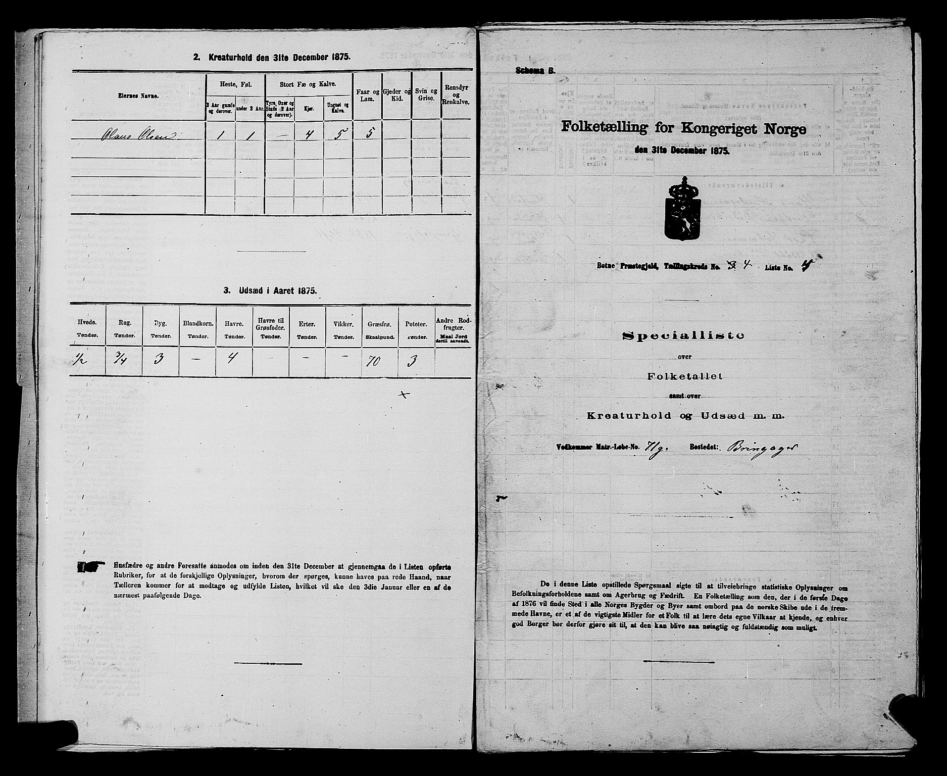 SAKO, 1875 census for 0715P Botne, 1875, p. 322