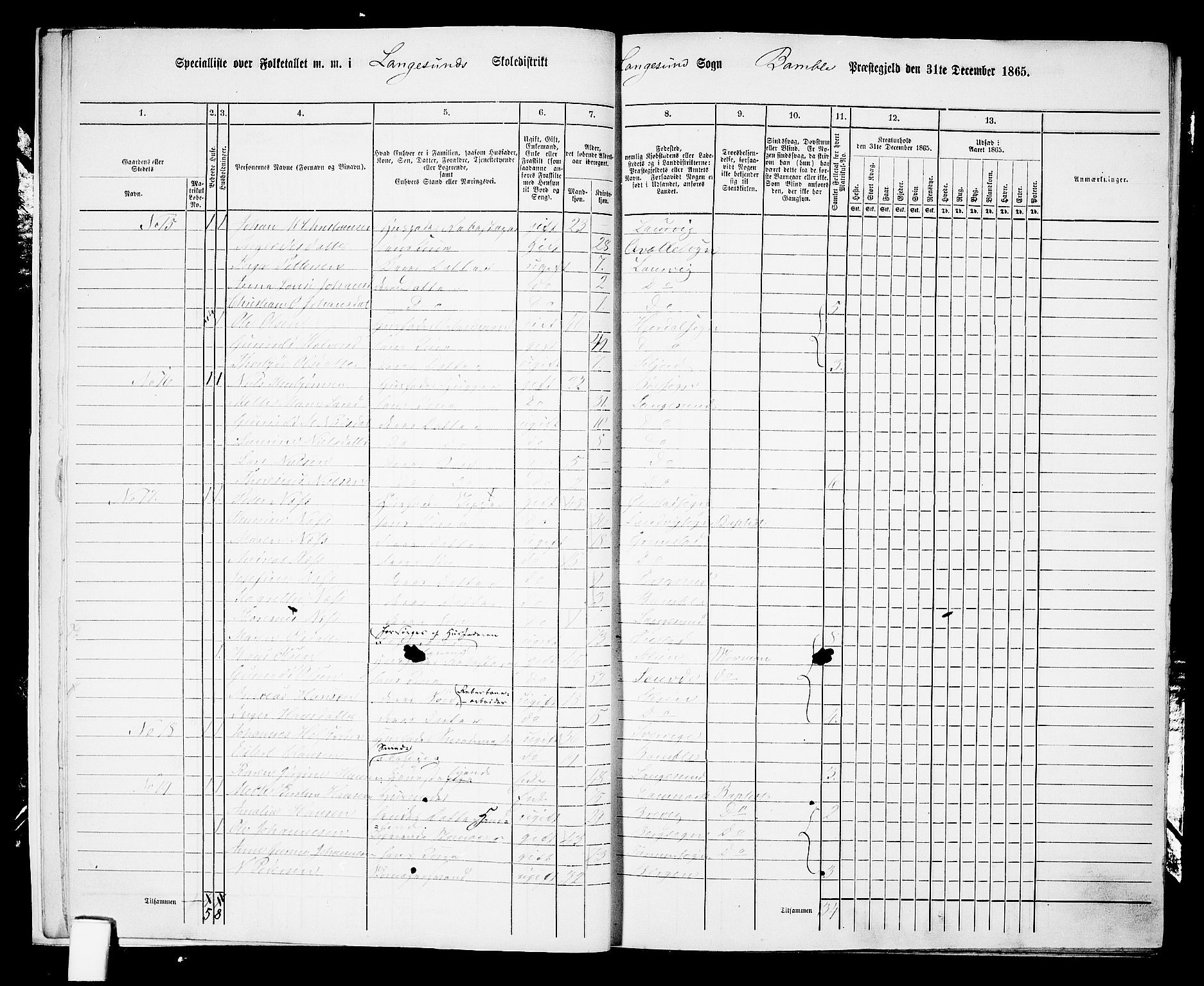 RA, 1865 census for Bamble, 1865, p. 195