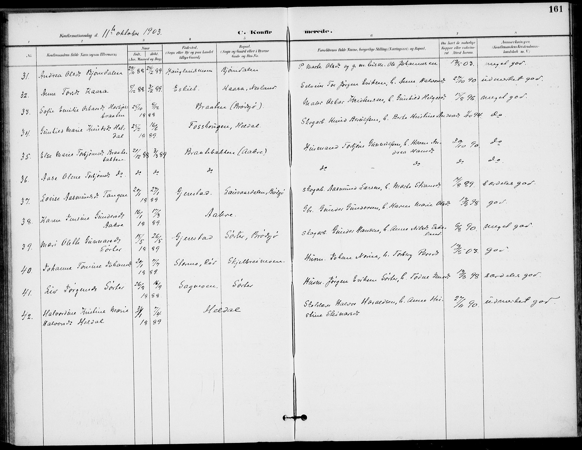 Drangedal kirkebøker, SAKO/A-258/F/Fa/L0012: Parish register (official) no. 12, 1895-1905, p. 161
