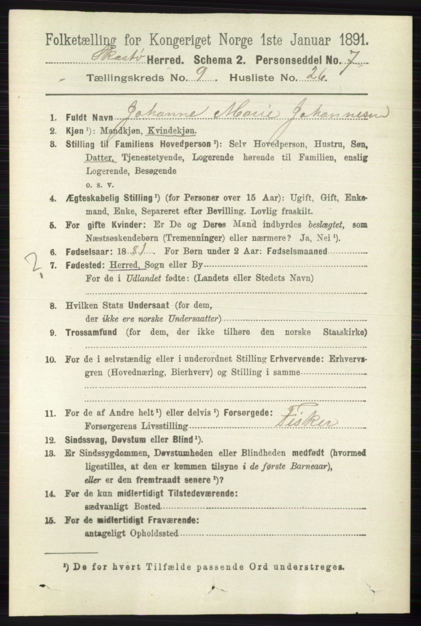 RA, 1891 census for 0815 Skåtøy, 1891, p. 4008