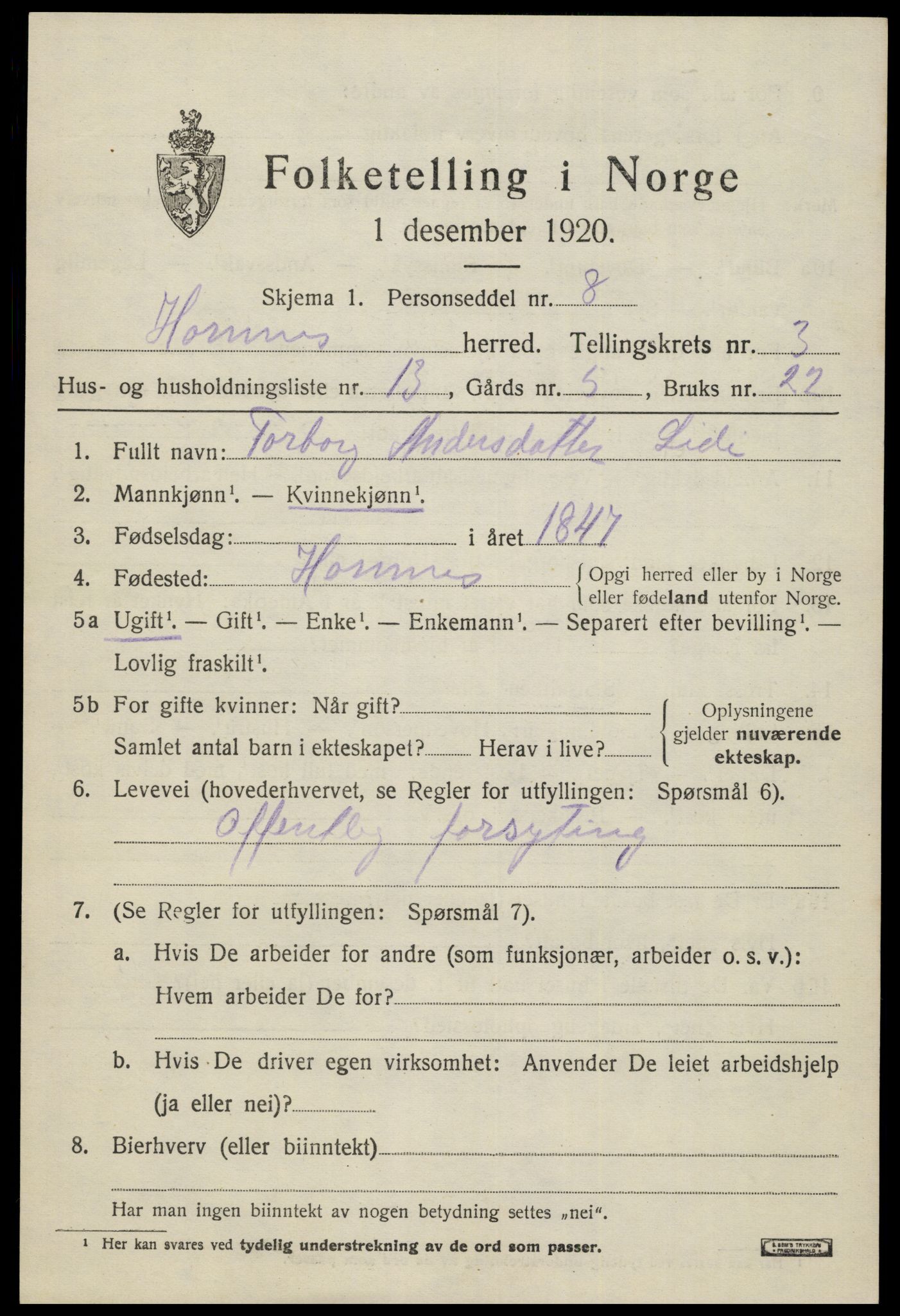 SAK, 1920 census for Hornnes, 1920, p. 957
