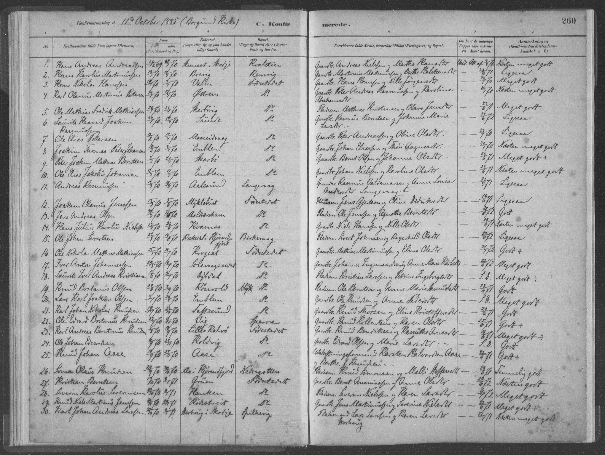 Ministerialprotokoller, klokkerbøker og fødselsregistre - Møre og Romsdal, AV/SAT-A-1454/528/L0402: Parish register (official) no. 528A12II, 1880-1903, p. 260