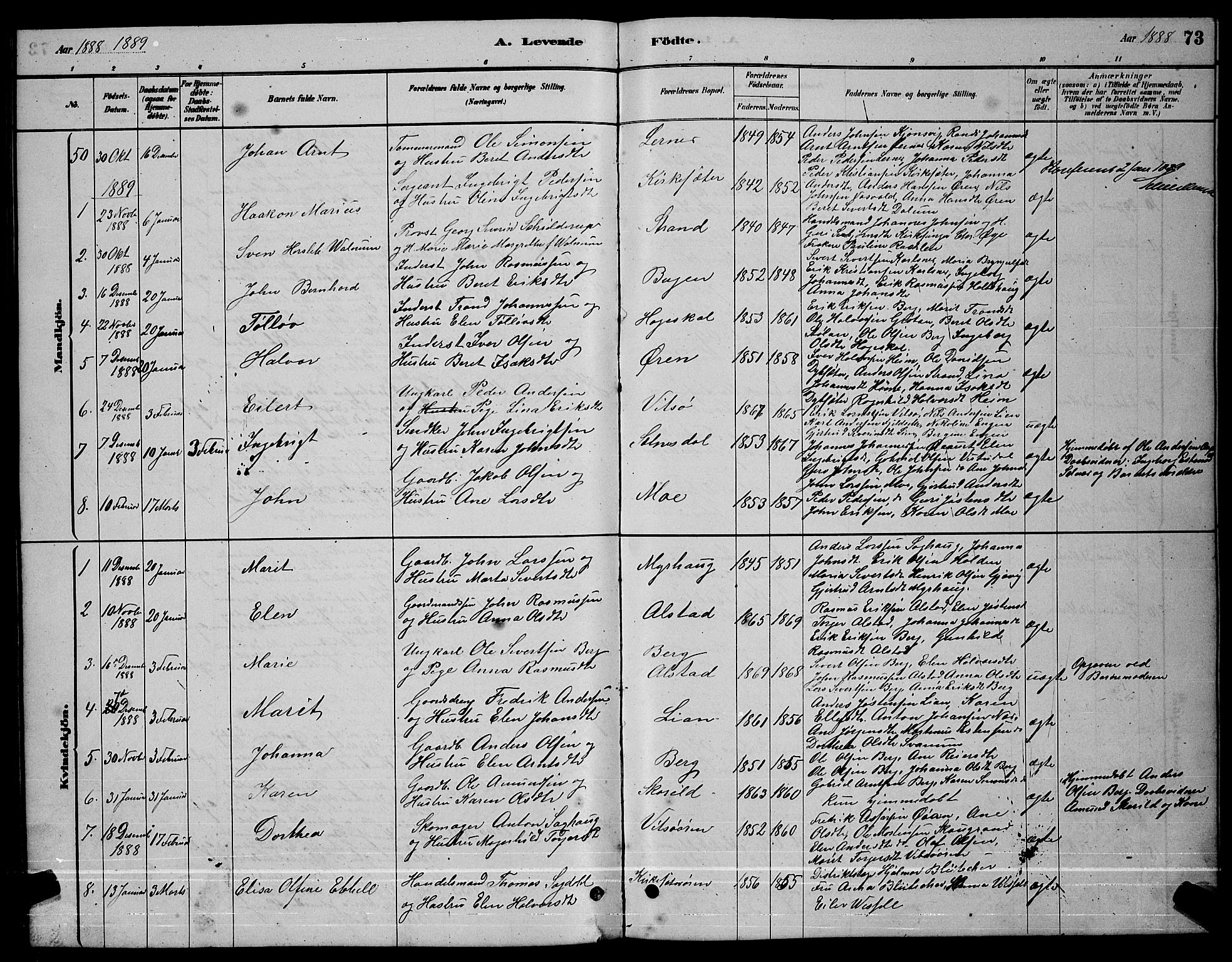 Ministerialprotokoller, klokkerbøker og fødselsregistre - Sør-Trøndelag, AV/SAT-A-1456/630/L0504: Parish register (copy) no. 630C02, 1879-1898, p. 73