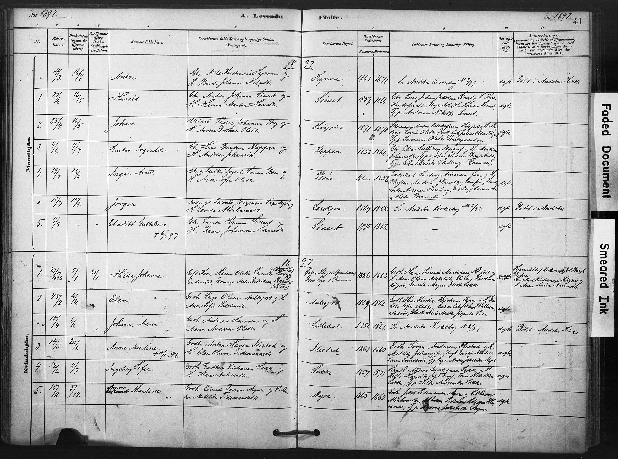 Andebu kirkebøker, AV/SAKO-A-336/F/Fa/L0009: Parish register (official) no. 9, 1878-1909, p. 41