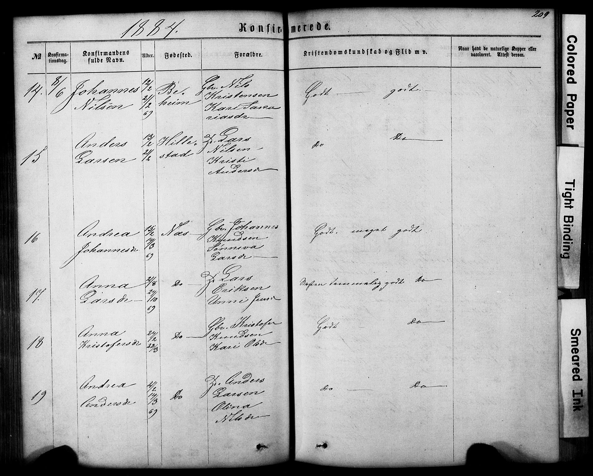 Hafslo sokneprestembete, AV/SAB-A-80301/H/Hab/Haba/L0001: Parish register (copy) no. A 1, 1866-1908, p. 209