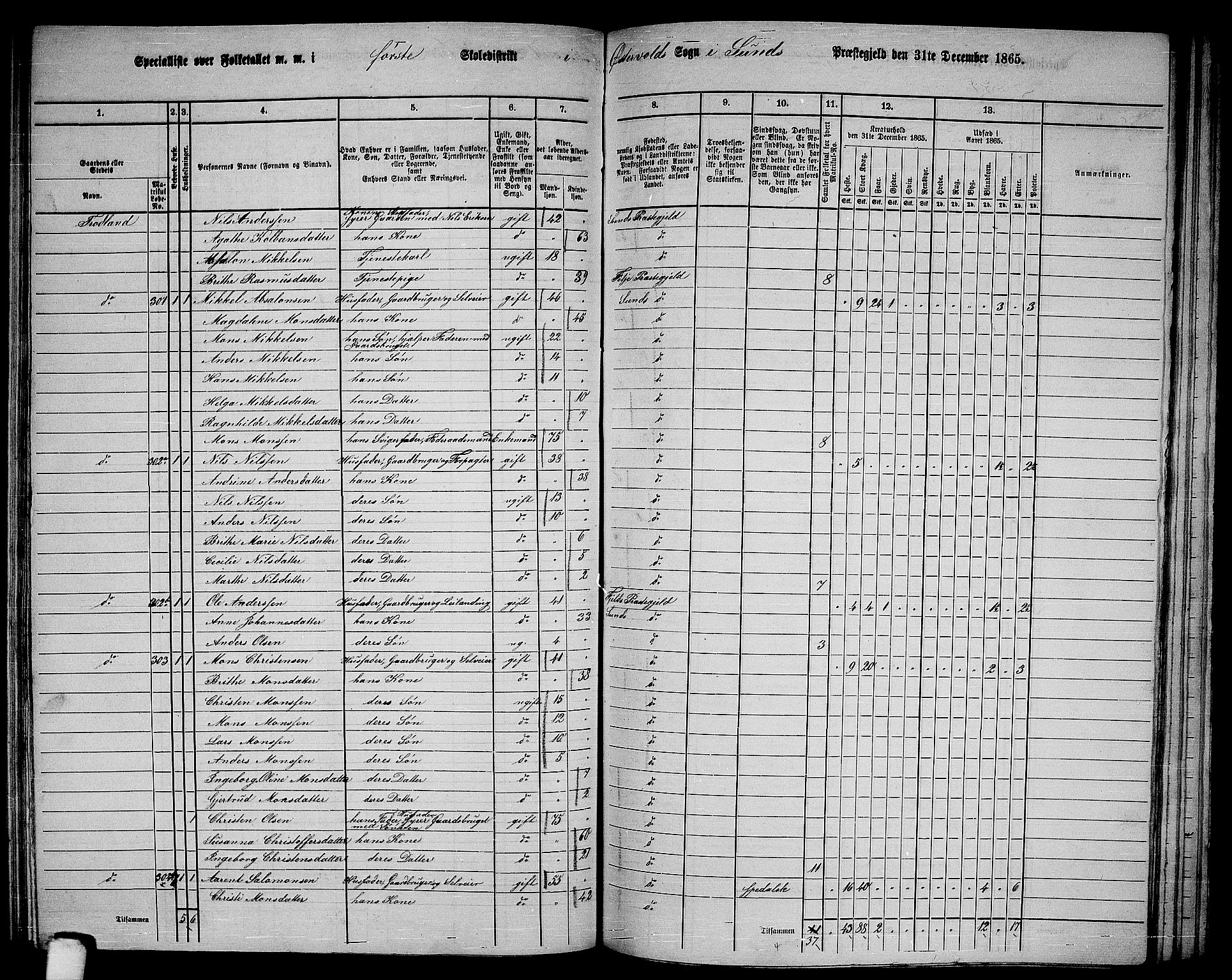 RA, 1865 census for Sund, 1865, p. 101