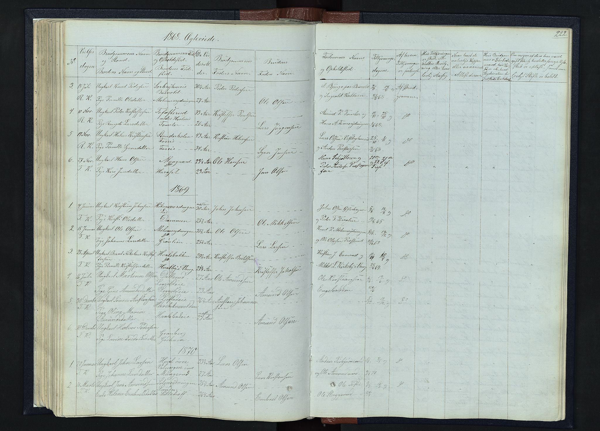 Romedal prestekontor, SAH/PREST-004/L/L0010: Parish register (copy) no. 10, 1860-1895, p. 222