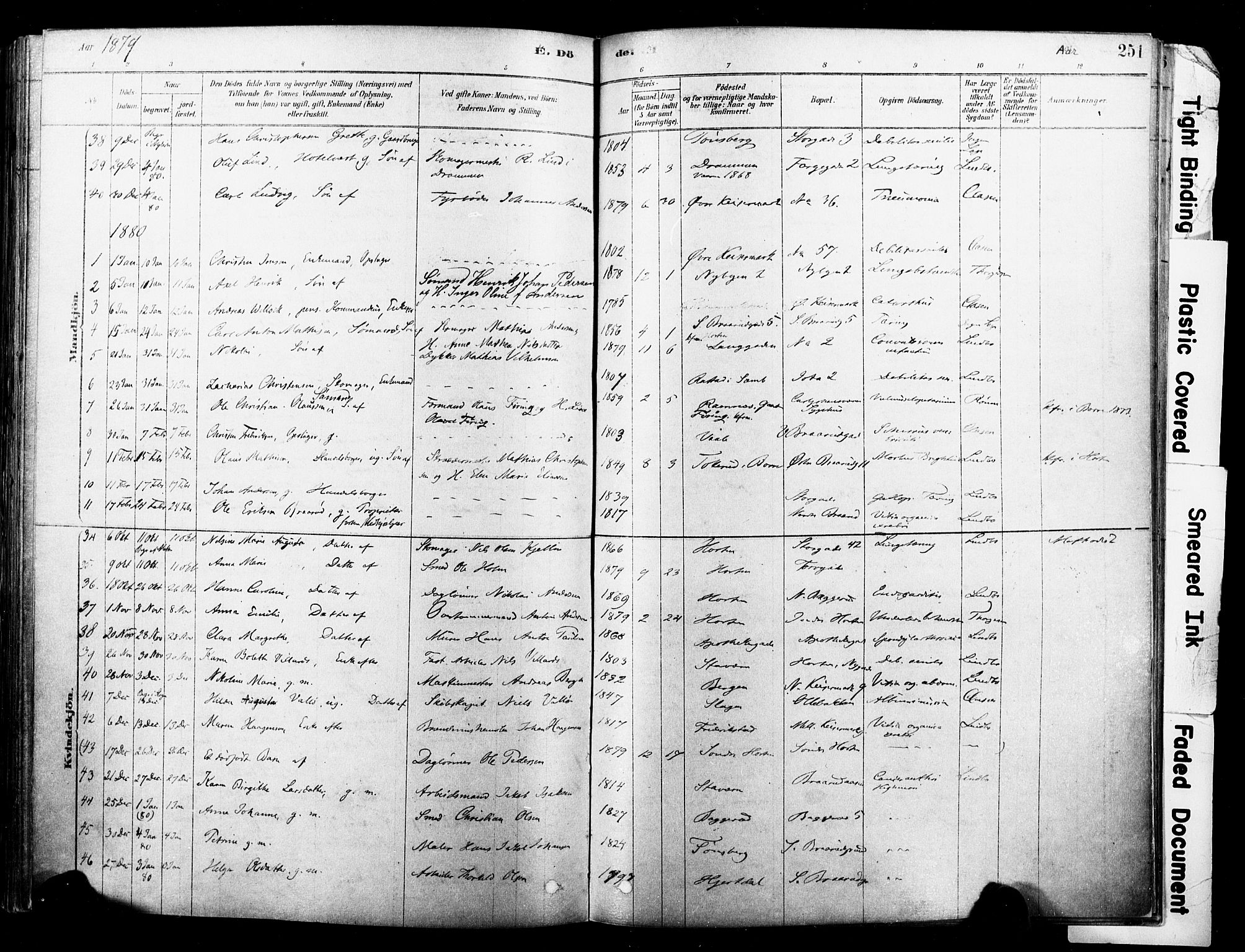 Horten kirkebøker, AV/SAKO-A-348/F/Fa/L0003: Parish register (official) no. 3, 1878-1887, p. 251