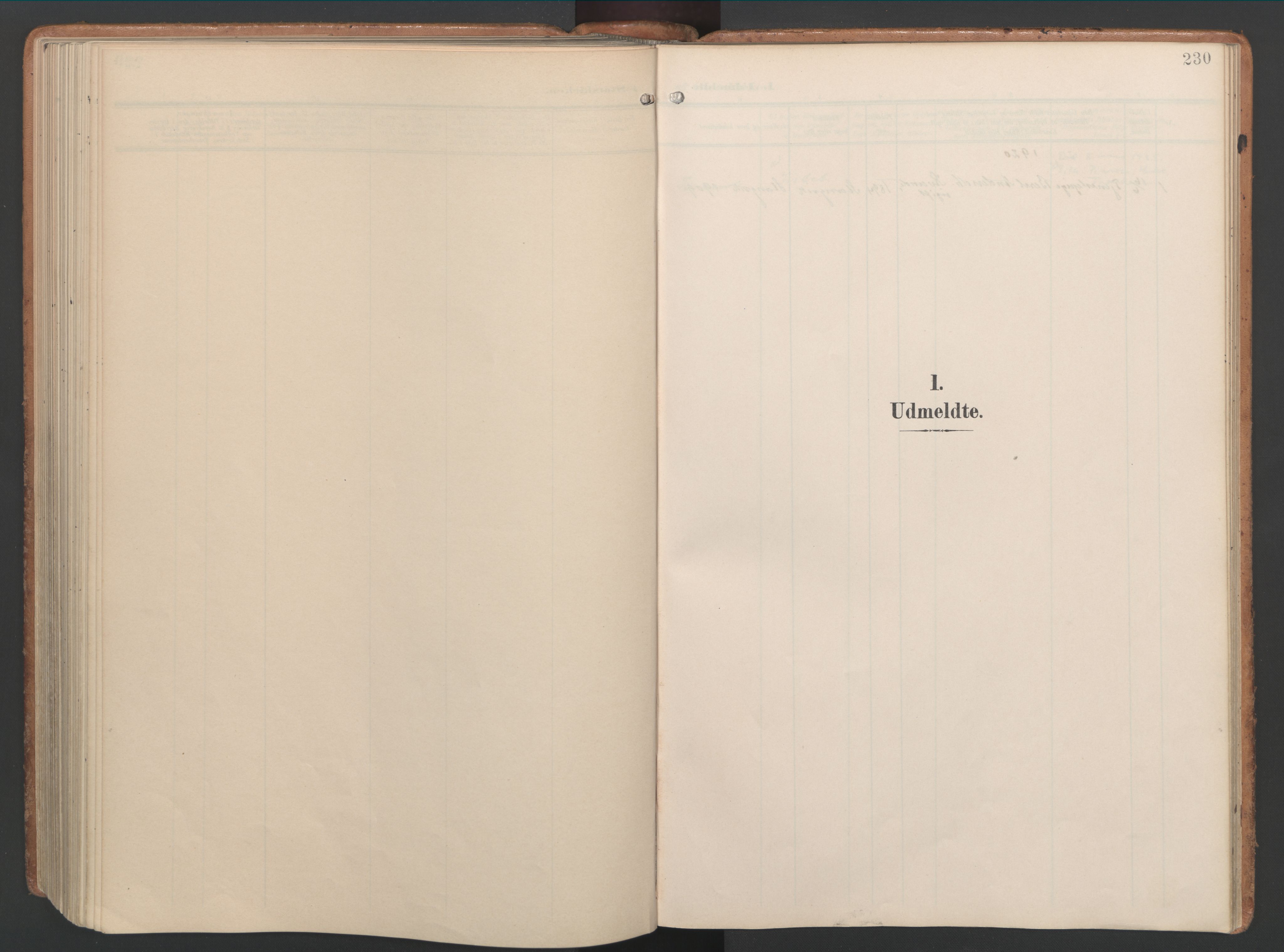 Ministerialprotokoller, klokkerbøker og fødselsregistre - Møre og Romsdal, SAT/A-1454/592/L1030: Parish register (official) no. 592A08, 1901-1925, p. 230